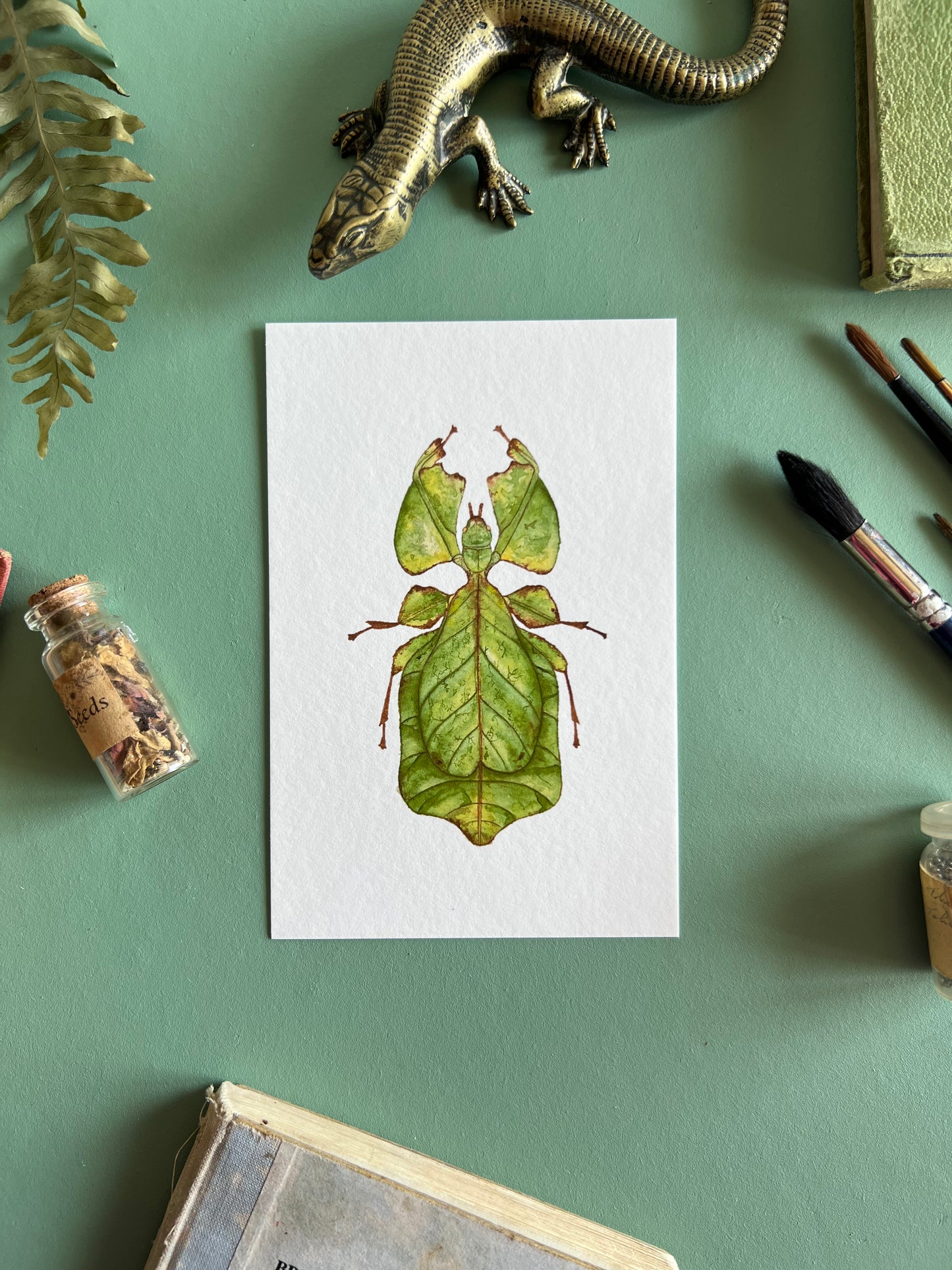 Giant Leaf Insect