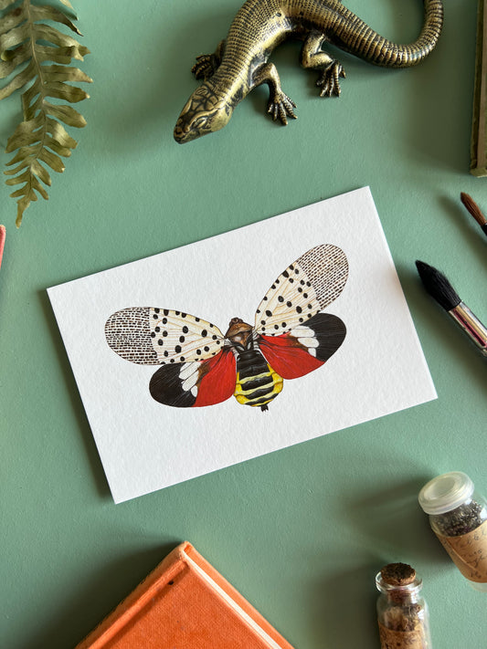 Spotted Lanternfly