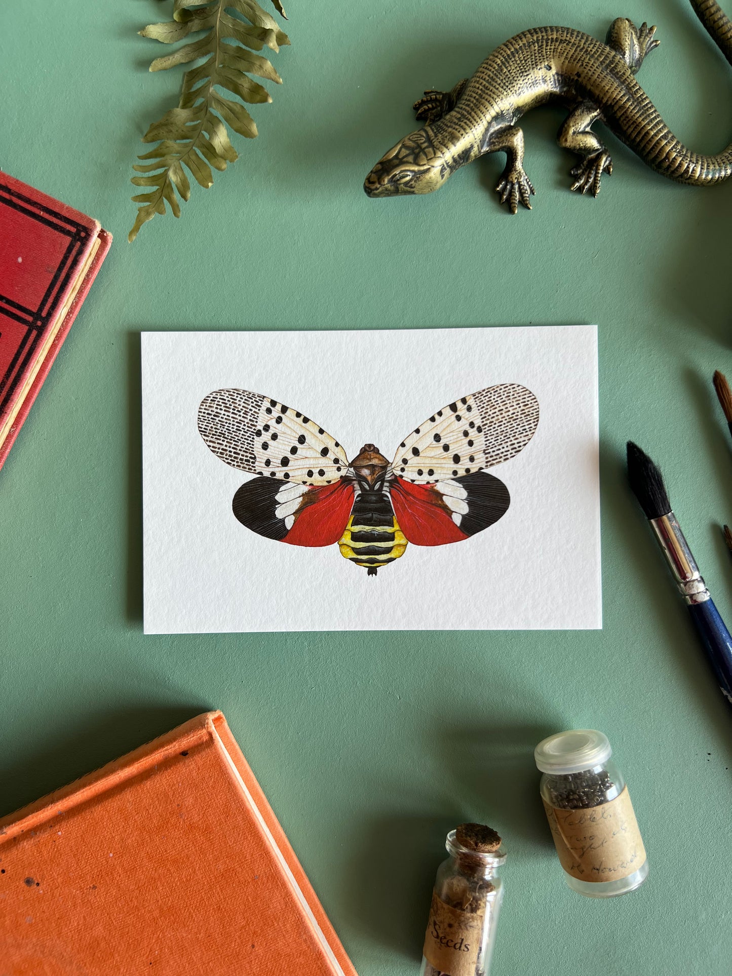 Spotted Lanternfly