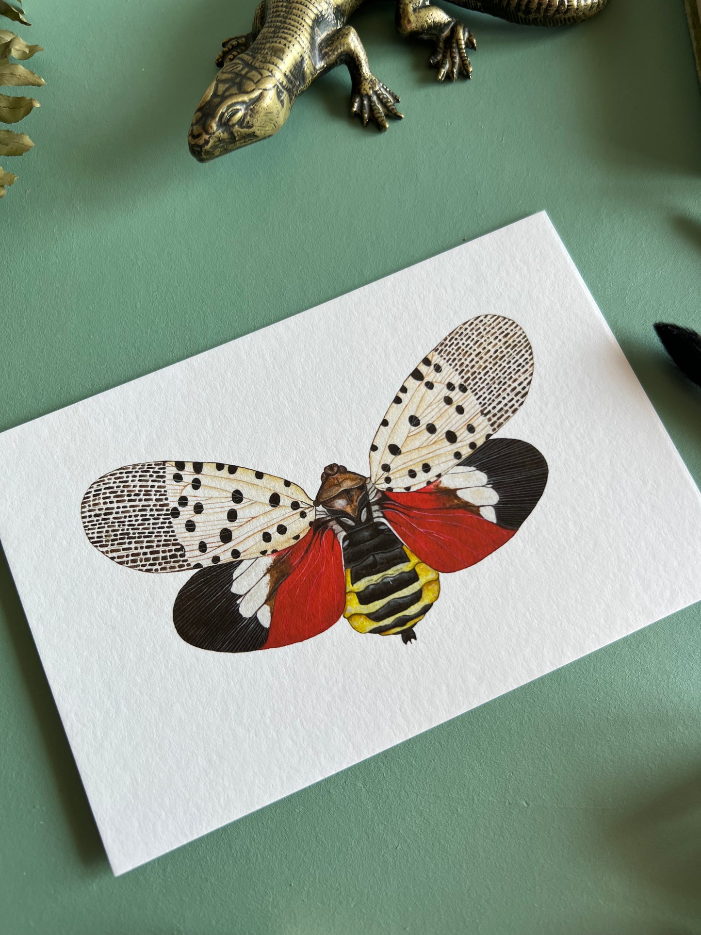 Spotted Lanternfly