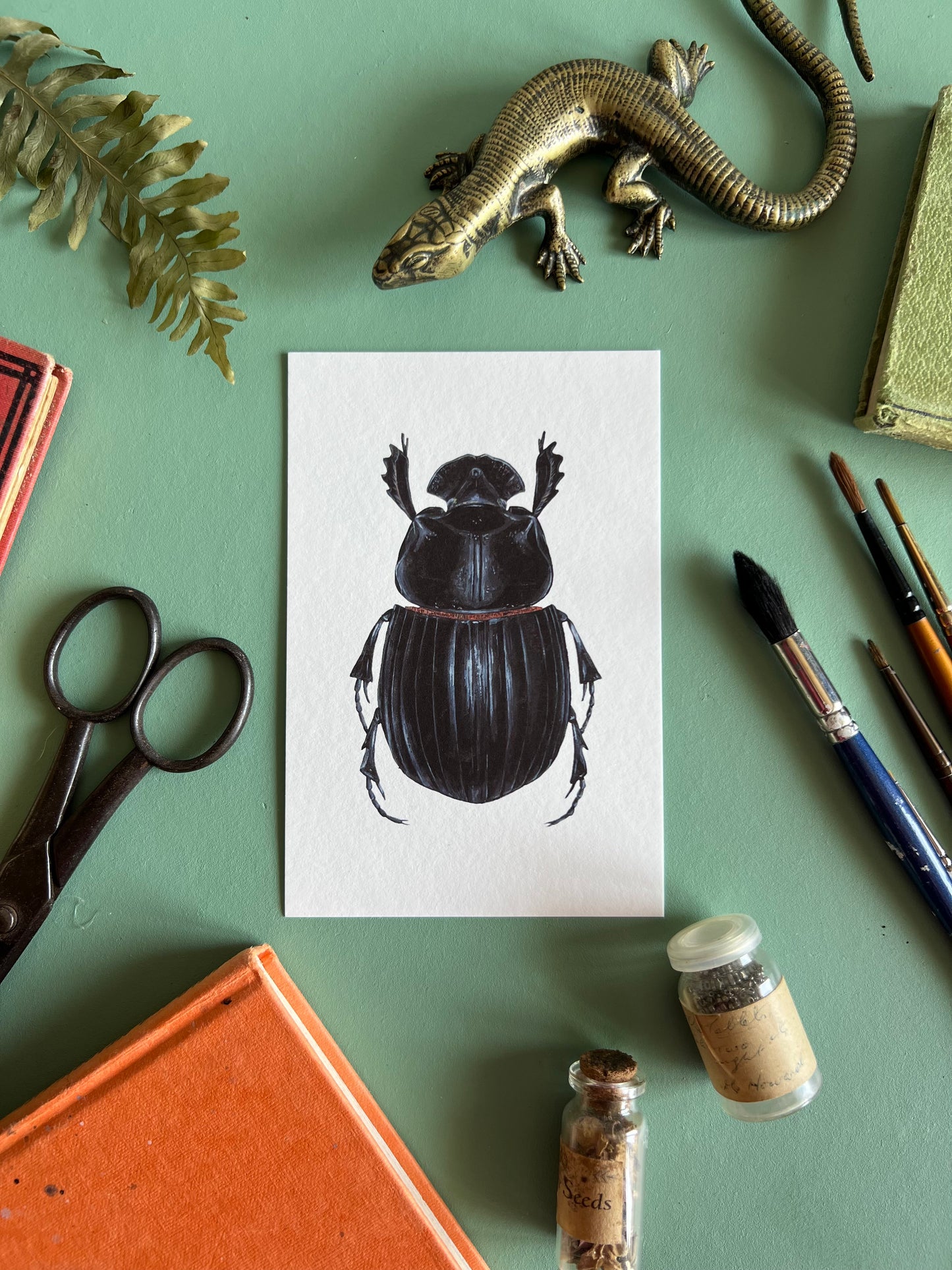 Horned Dung Beetle