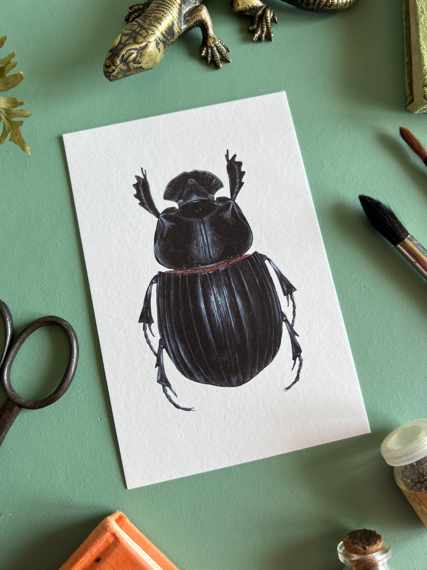 Horned Dung Beetle