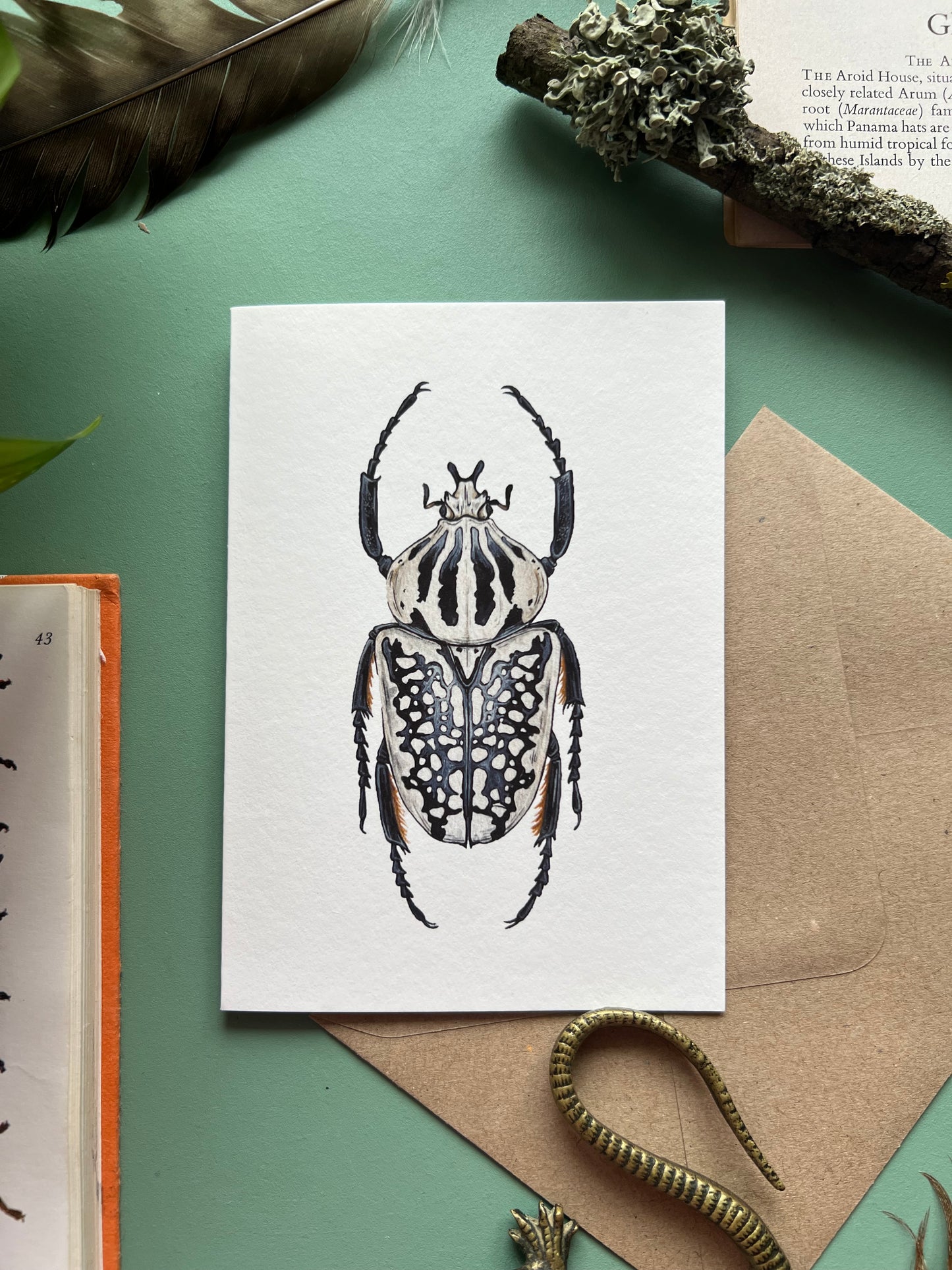 Goliath Beetle Card