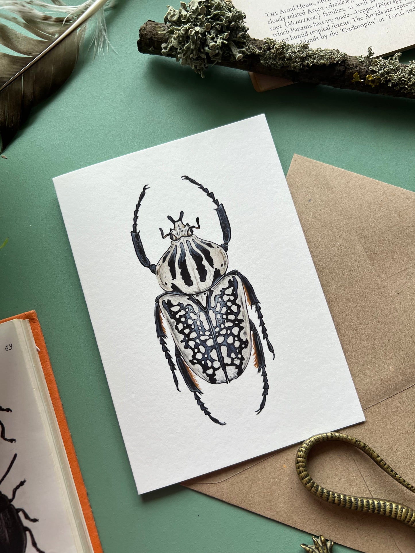 Goliath Beetle Card