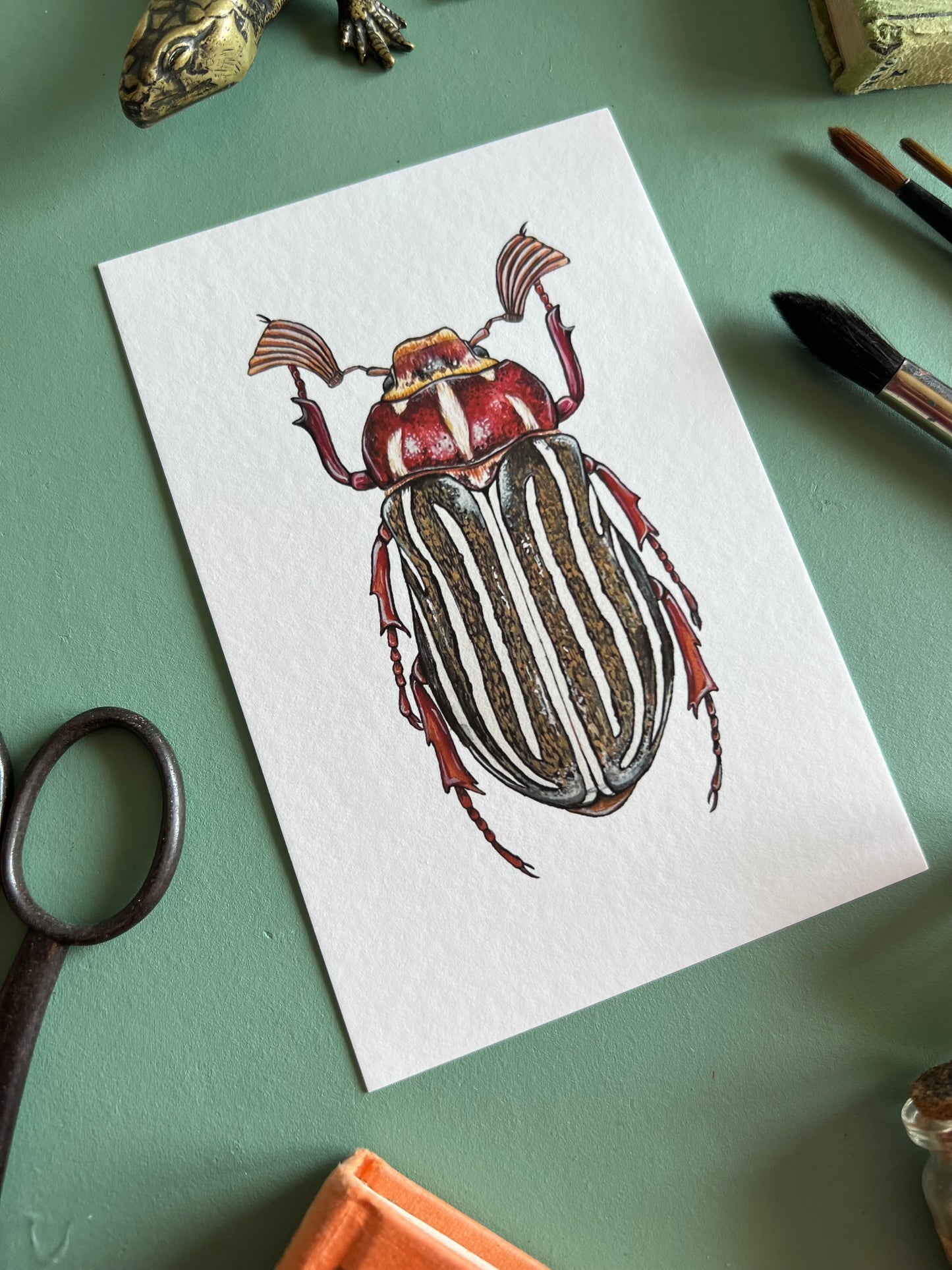 Ten-lined June Beetle