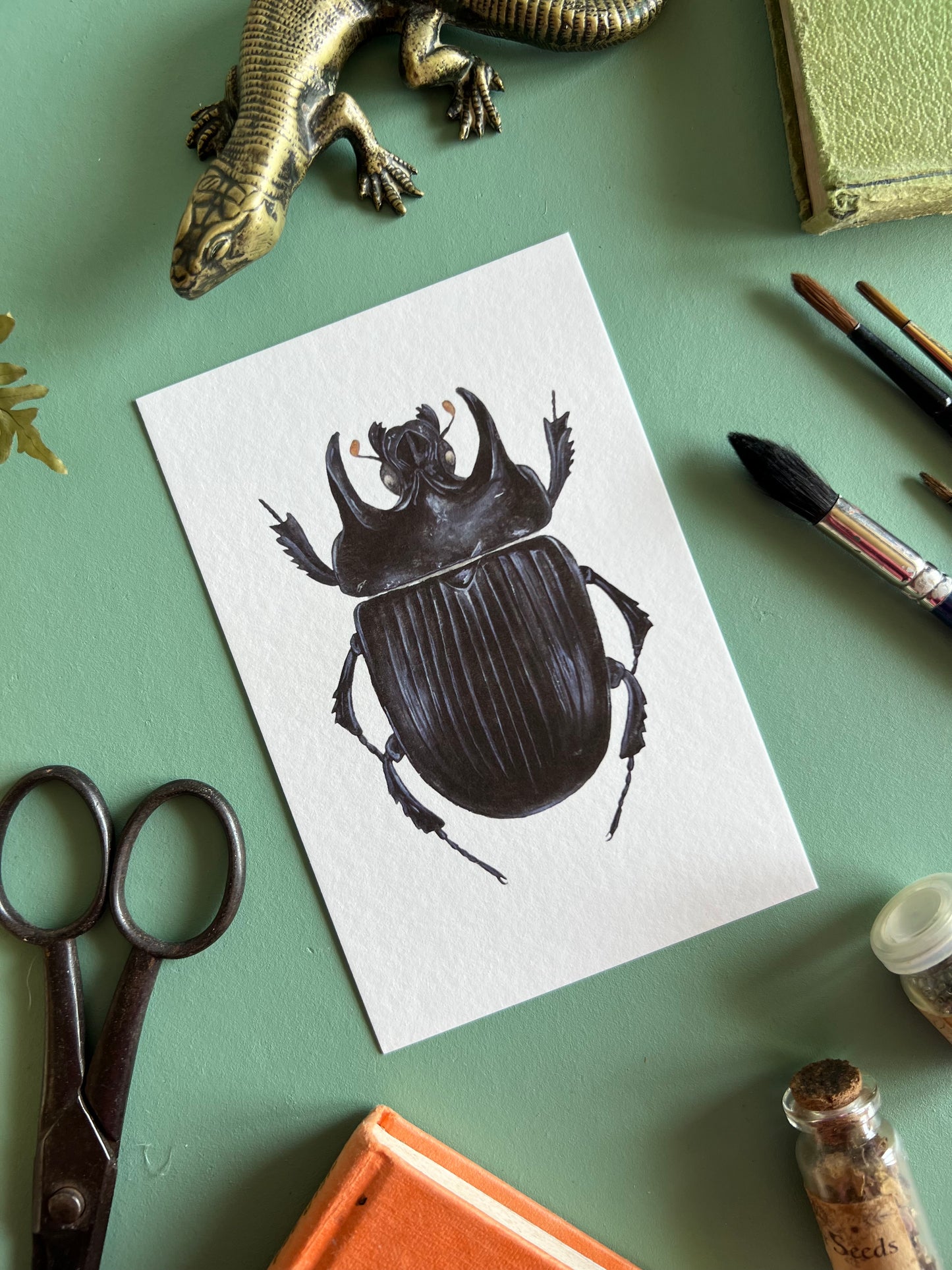 Minotaur Beetle