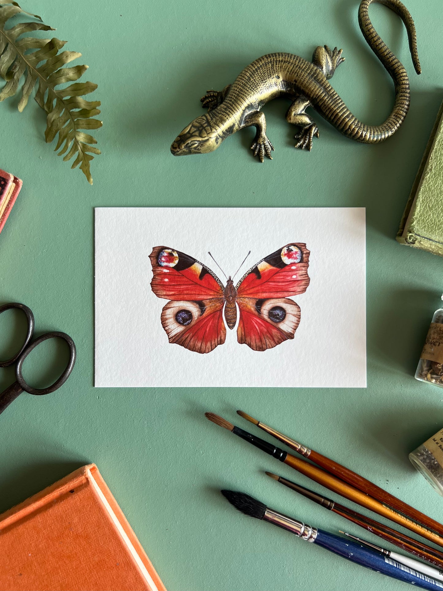 Peacock Butterfly