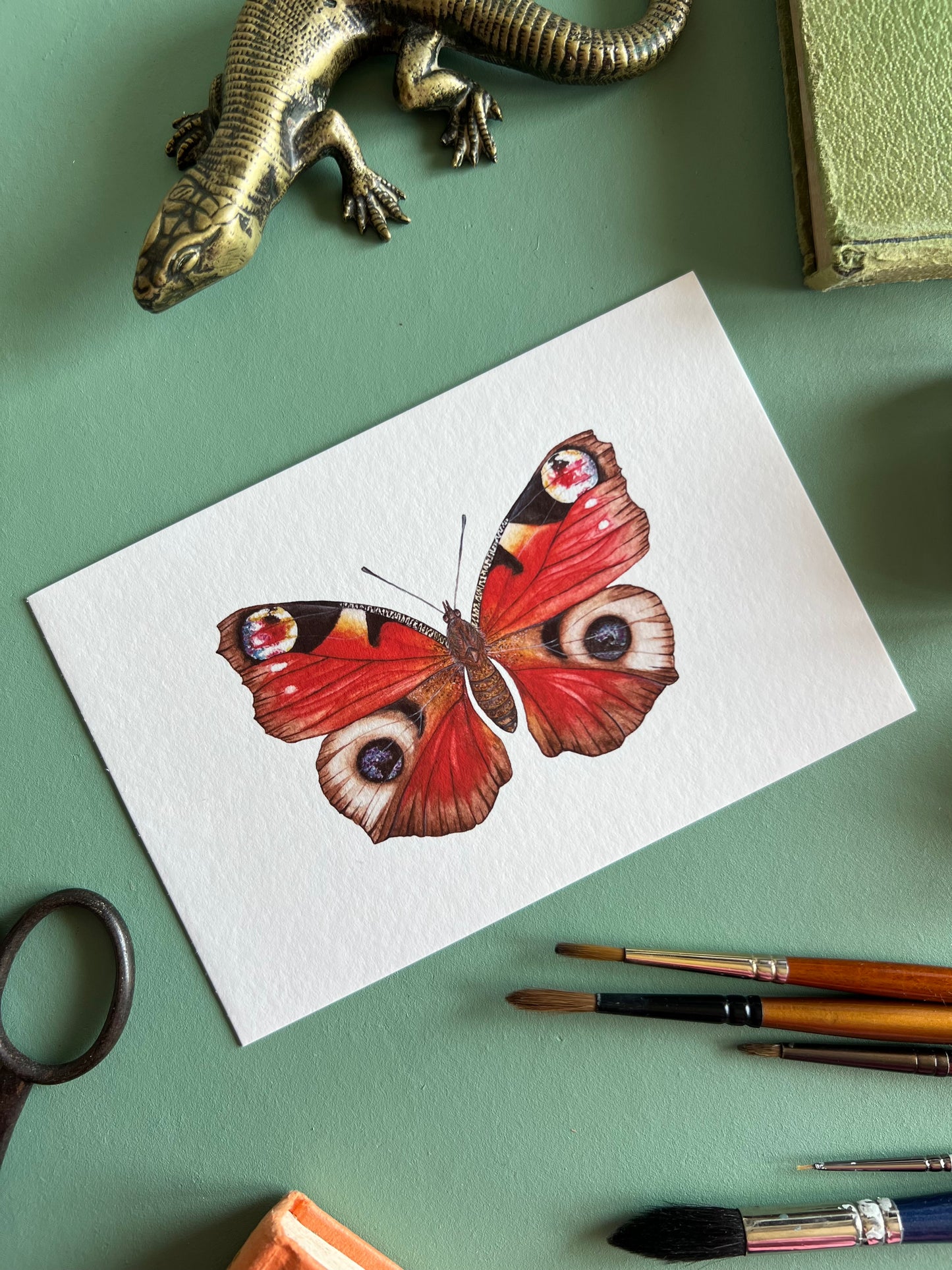 Peacock Butterfly