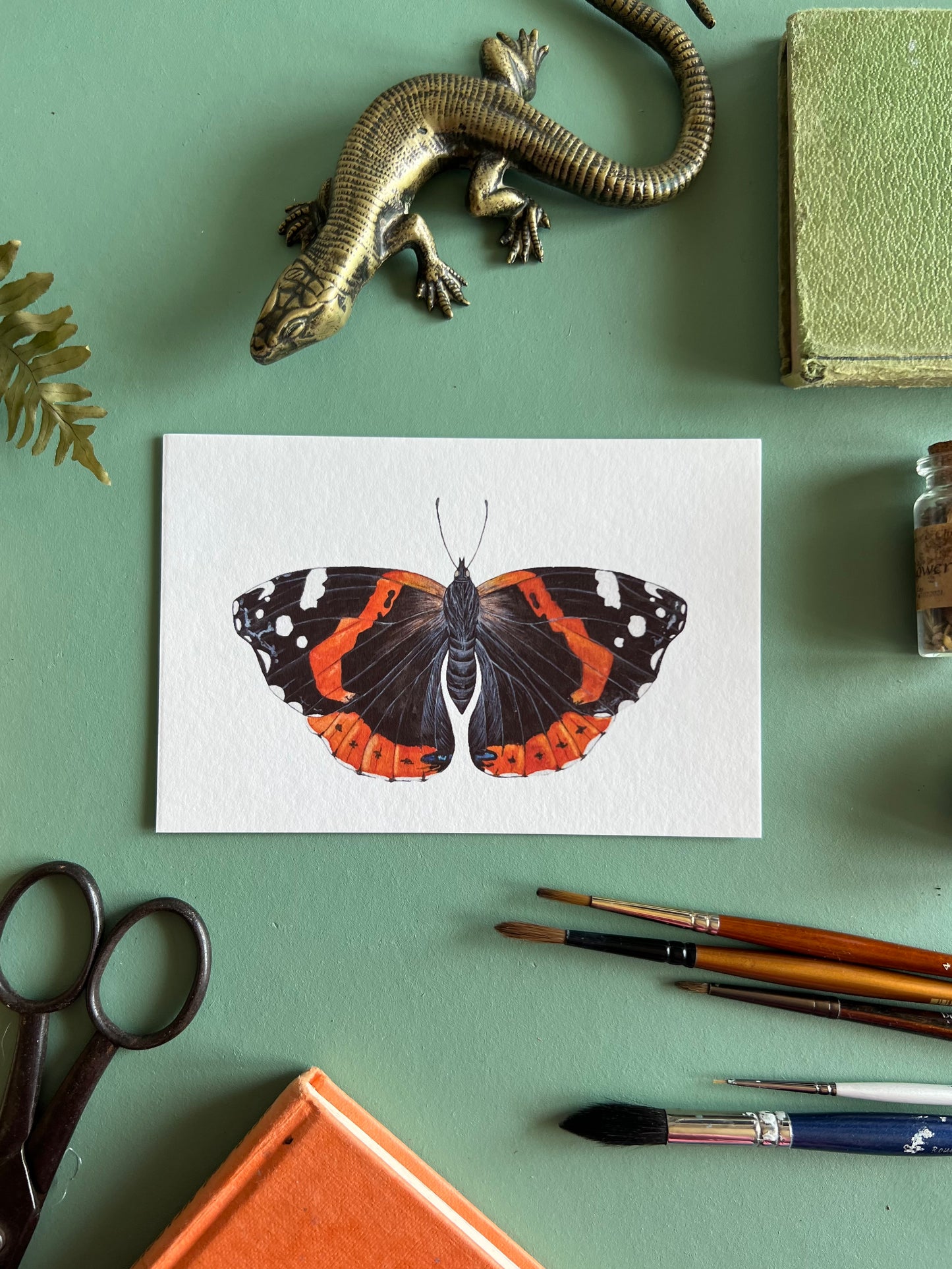 Red Admiral