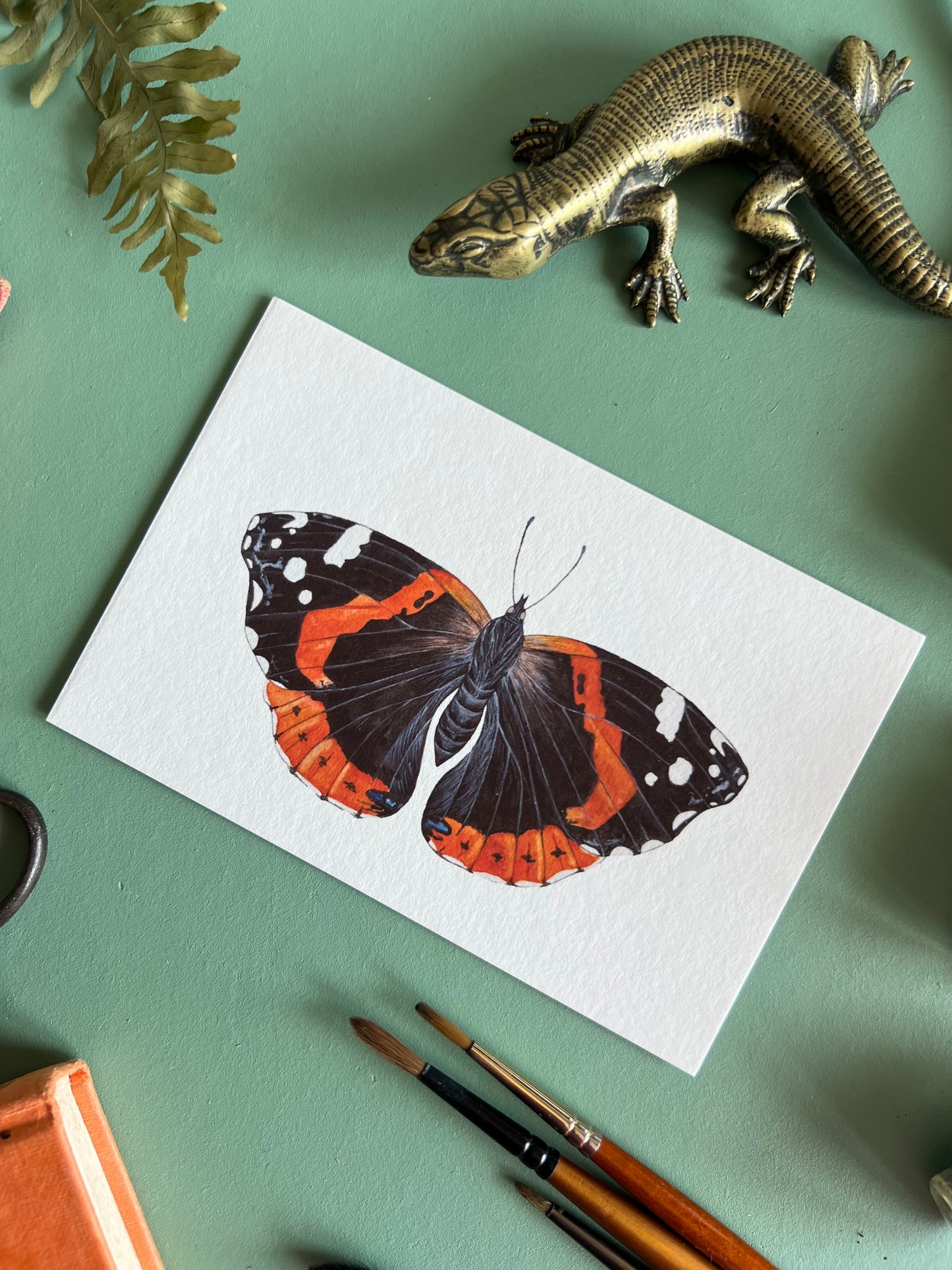 Red Admiral