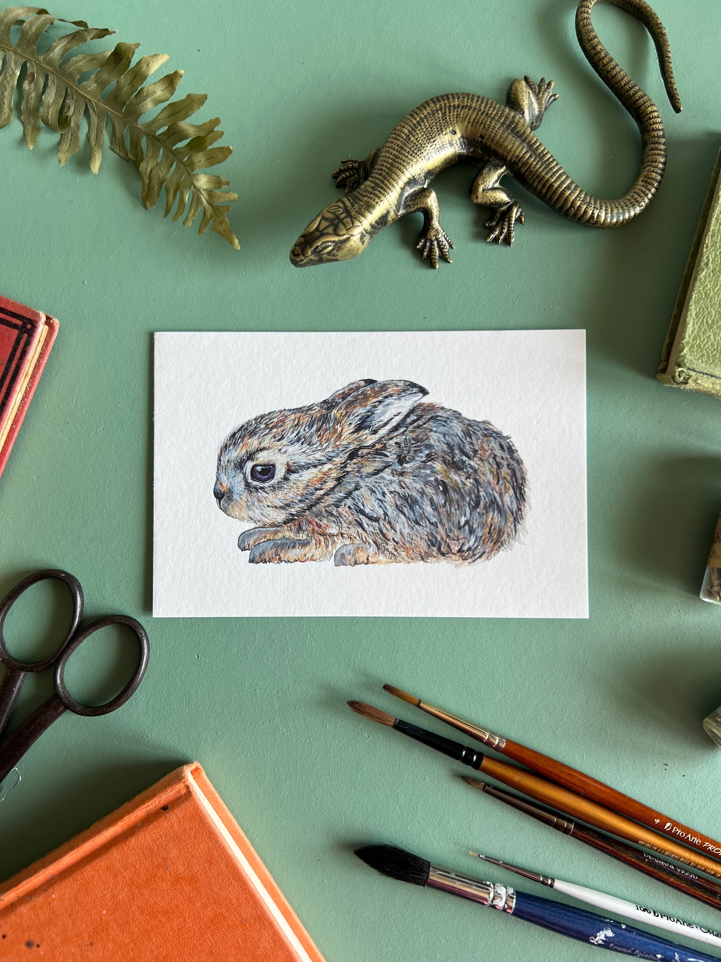 Leveret/ Baby Hare