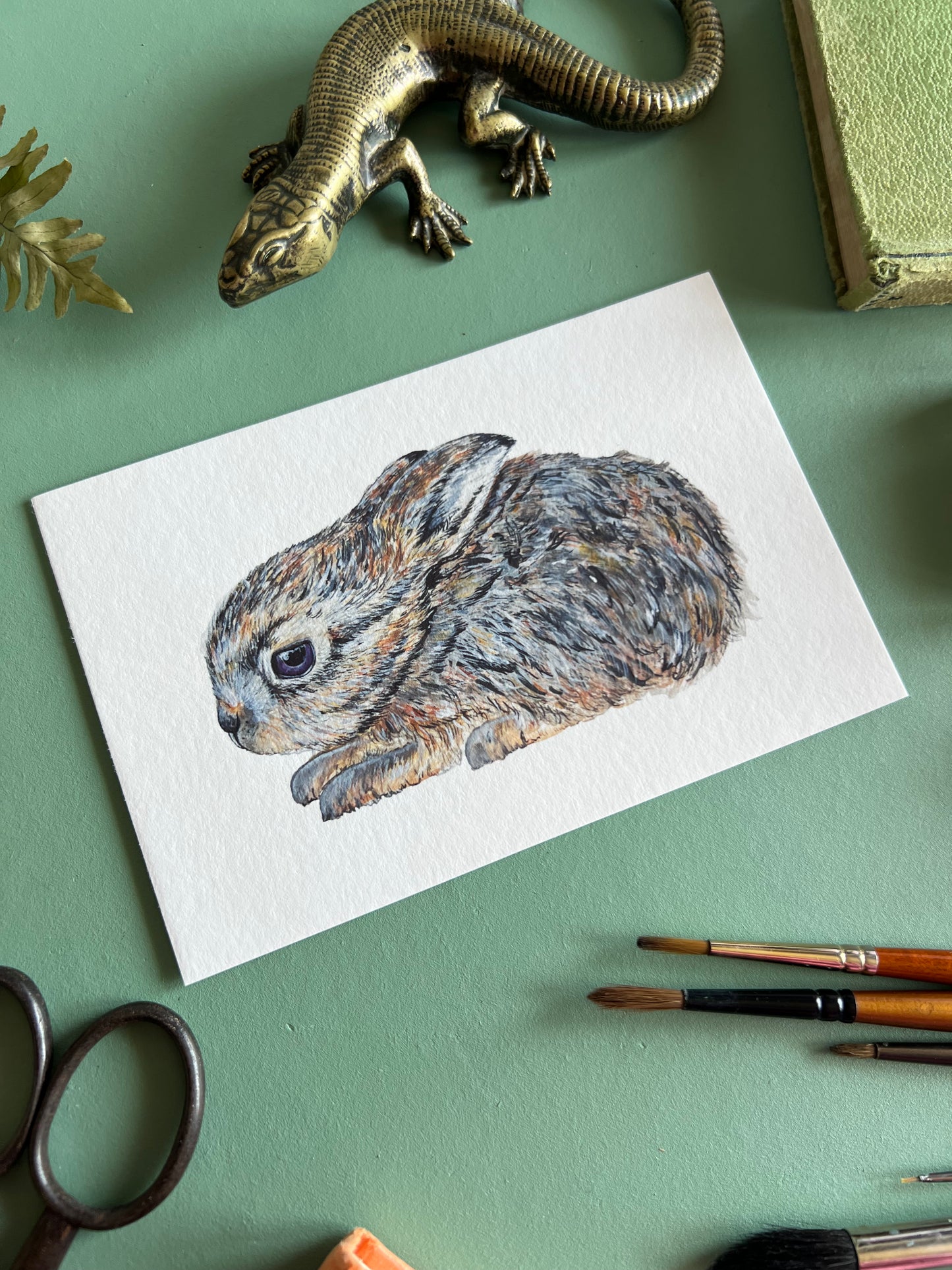 Leveret/ Baby Hare