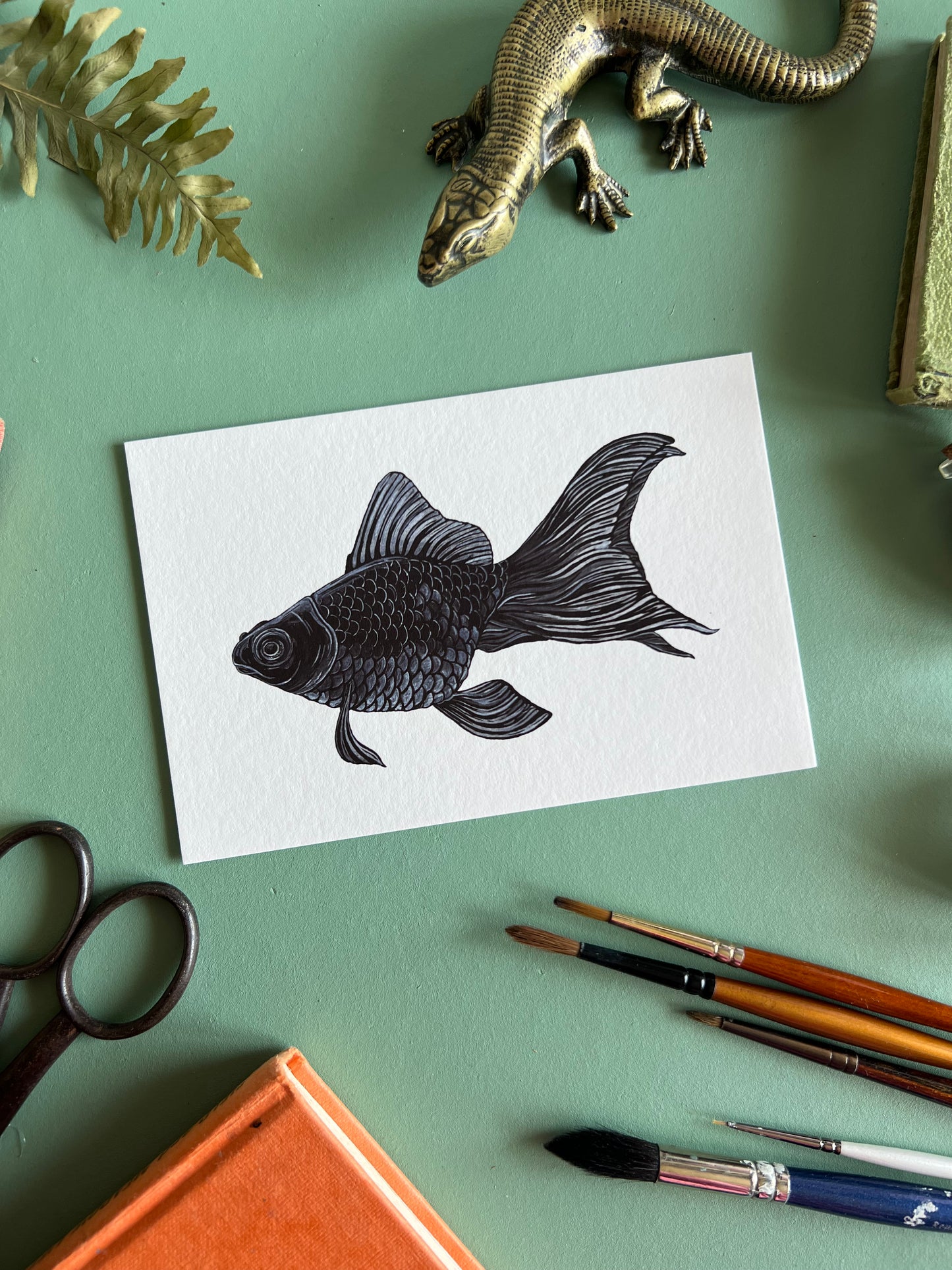 Black Moor Goldfish