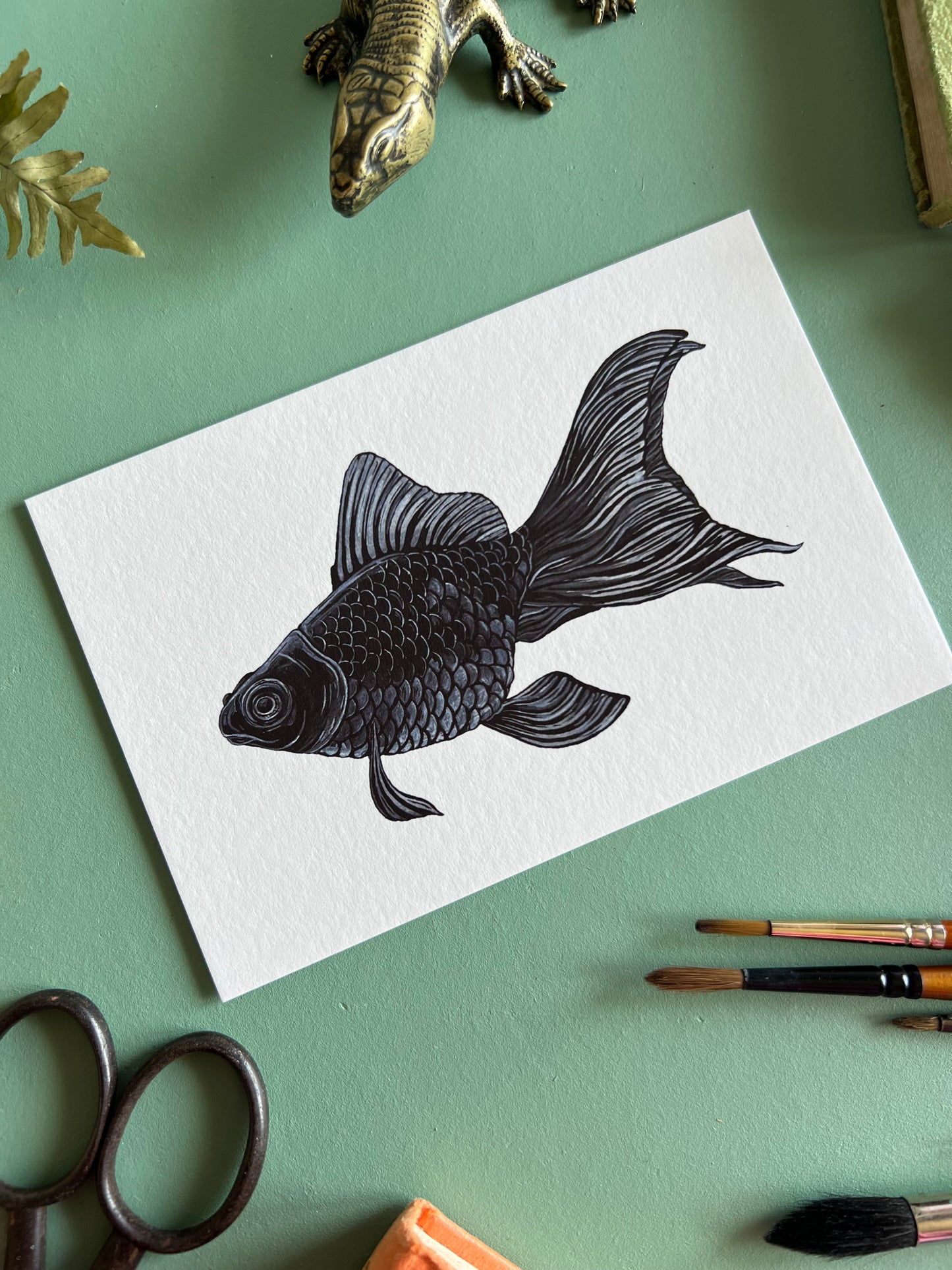 Black Moor Goldfish