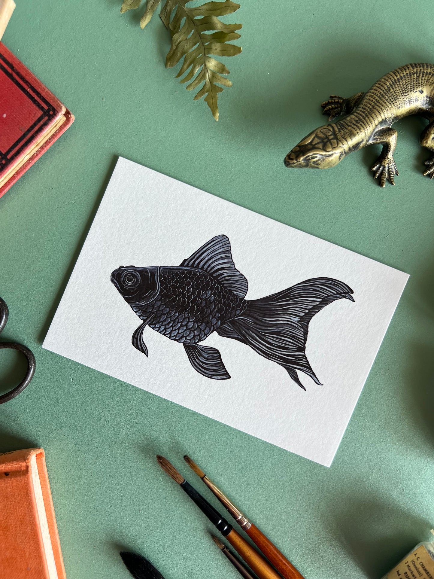 Black Moor Goldfish