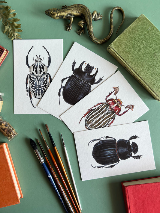 Beetle Print Set