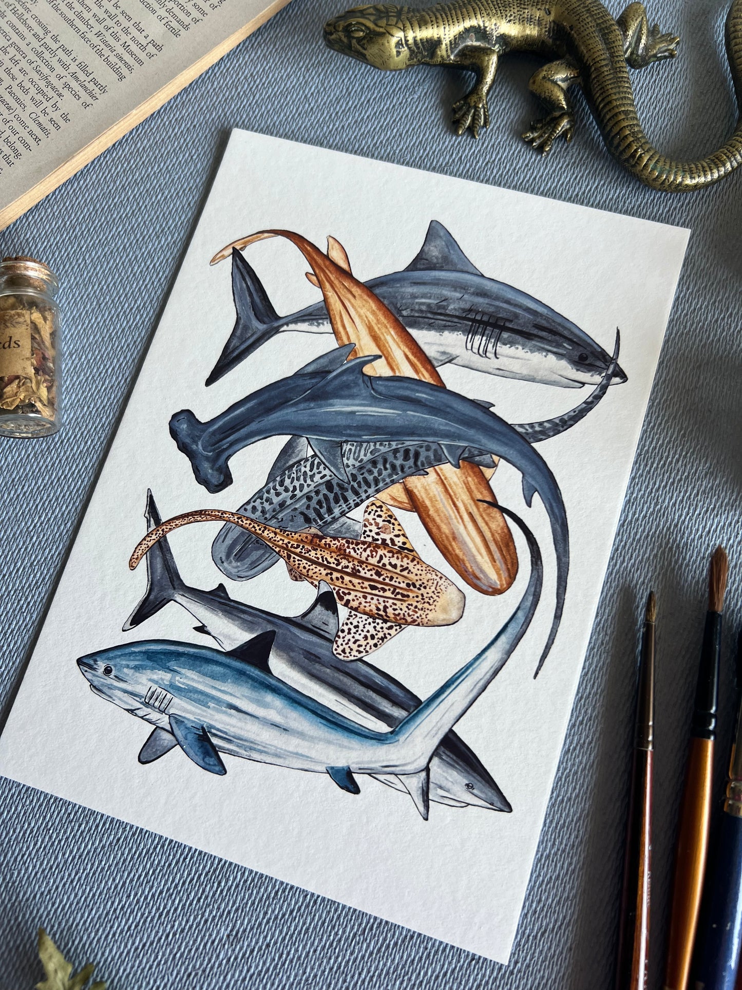 Sharks Print