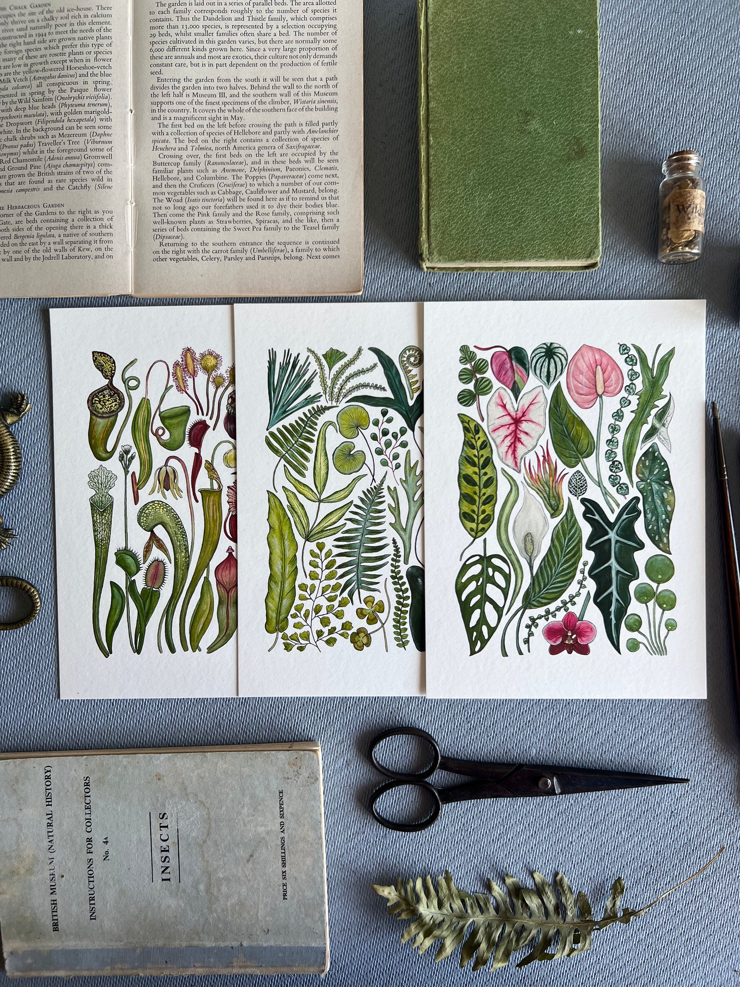 Plants Print Set