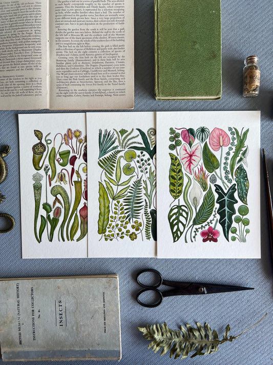 Plants Print Set