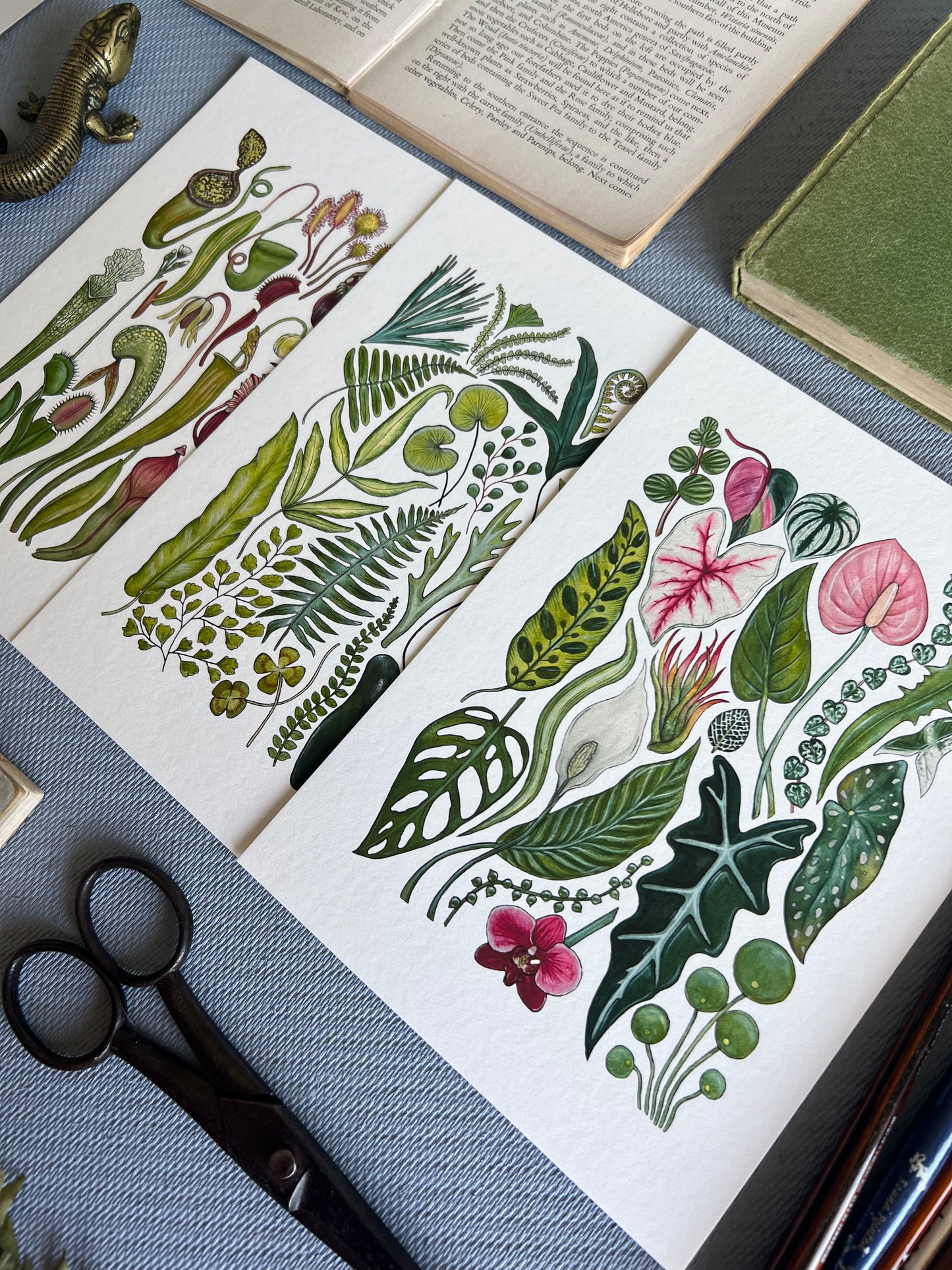 Plants Print Set