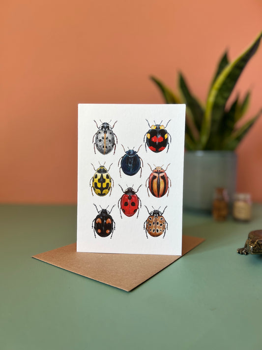 Ladybirds Card