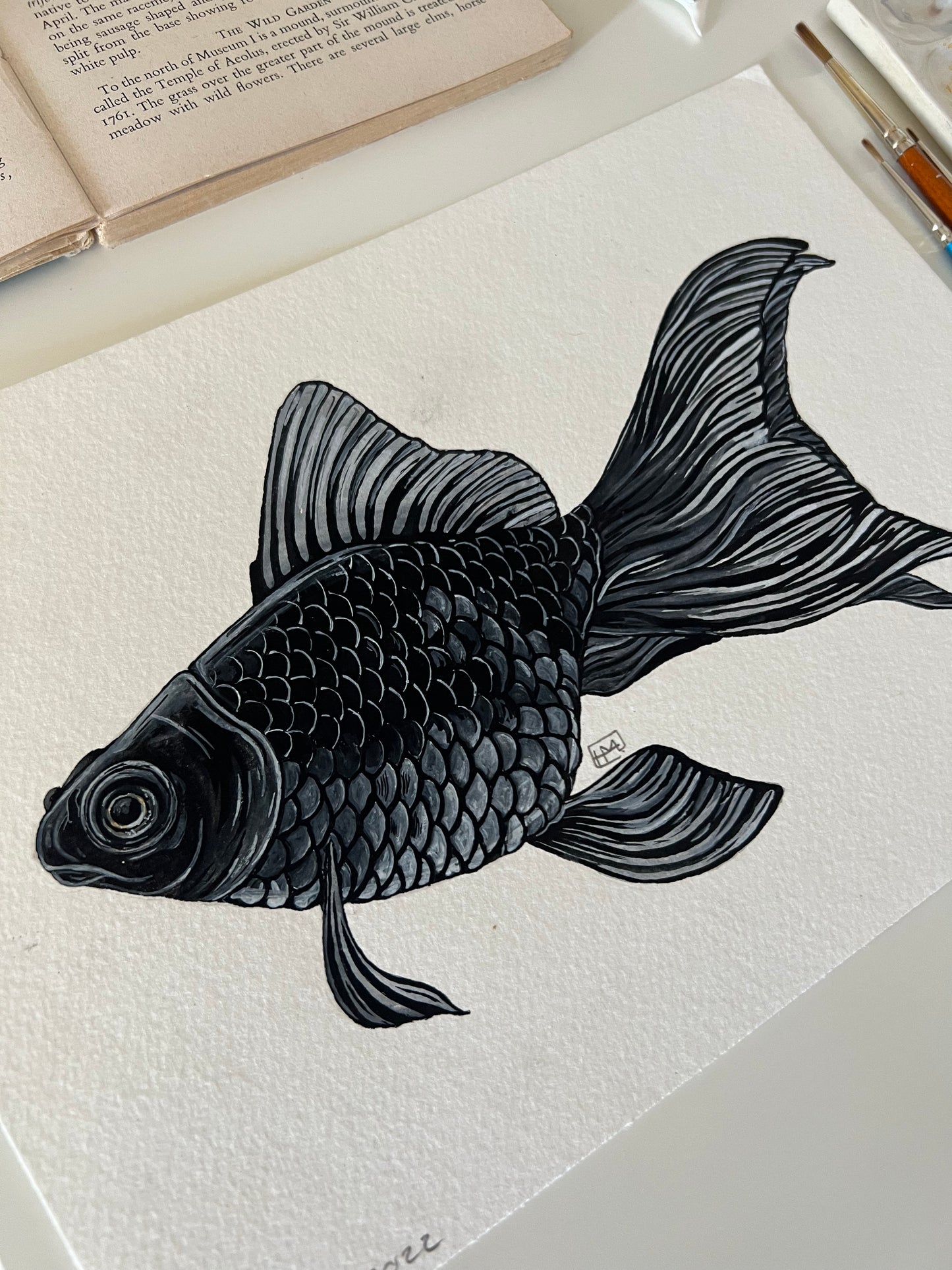 Black Moor Goldfish, Watercolour Original