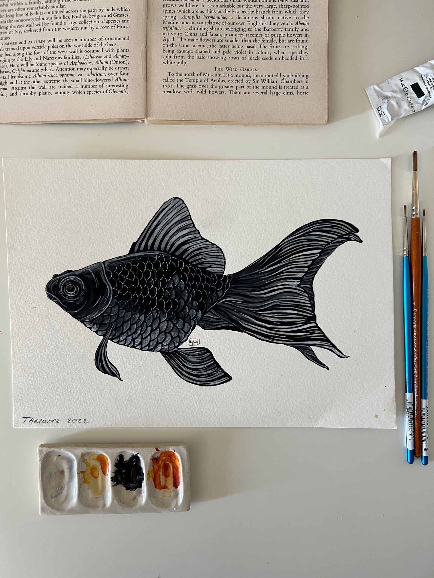 Black Moor Goldfish, Watercolour Original