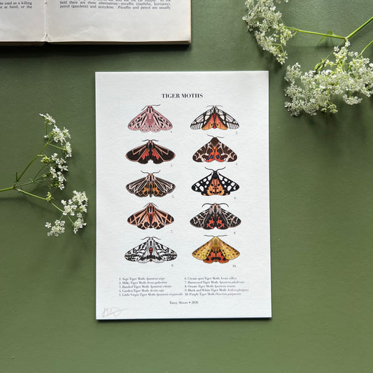 Tiger Moths Print
