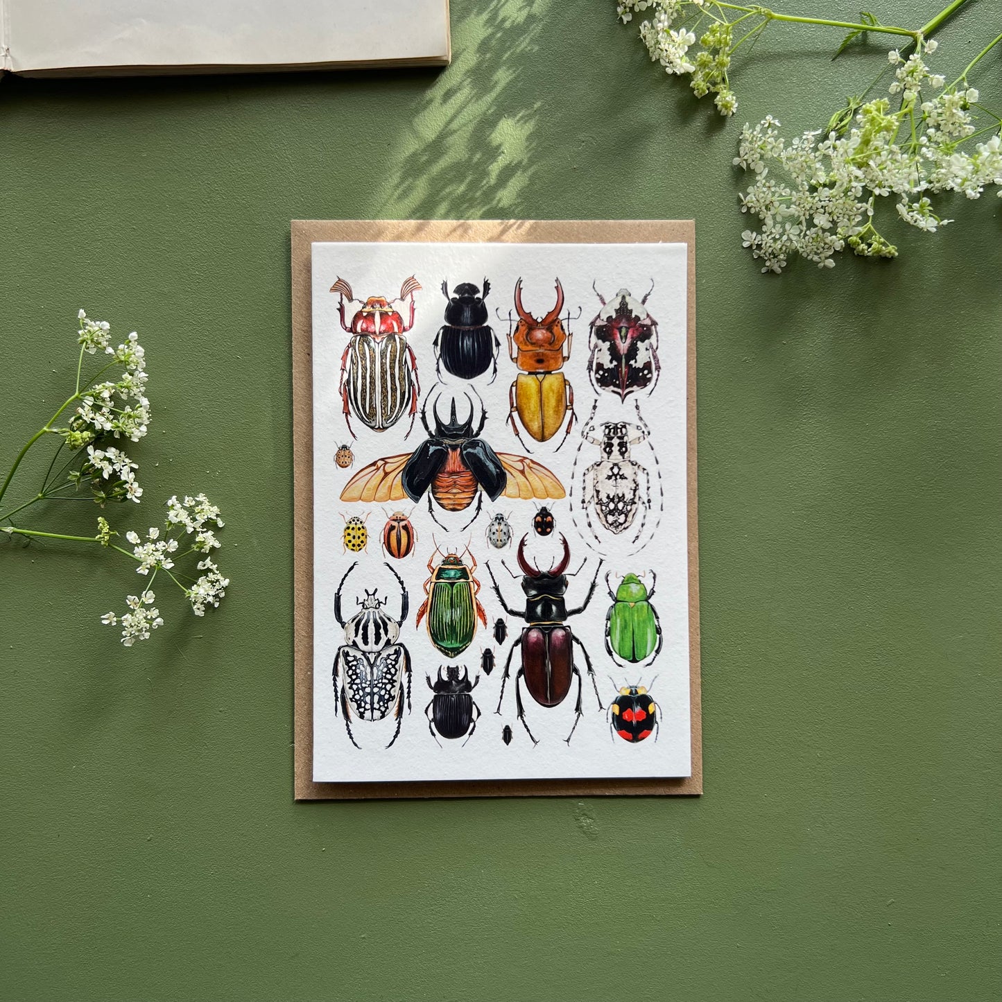 Beetles Card
