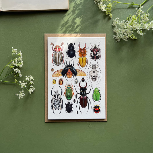 Beetles Card