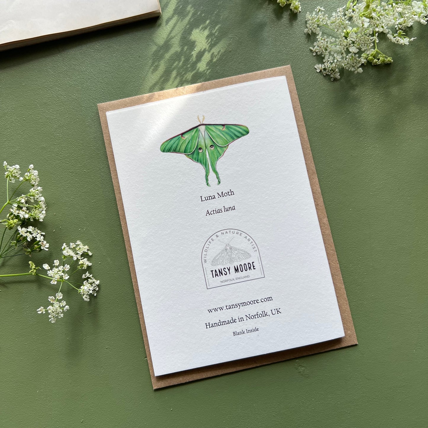Luna Moth Card