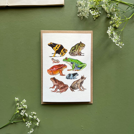 Frogs Card