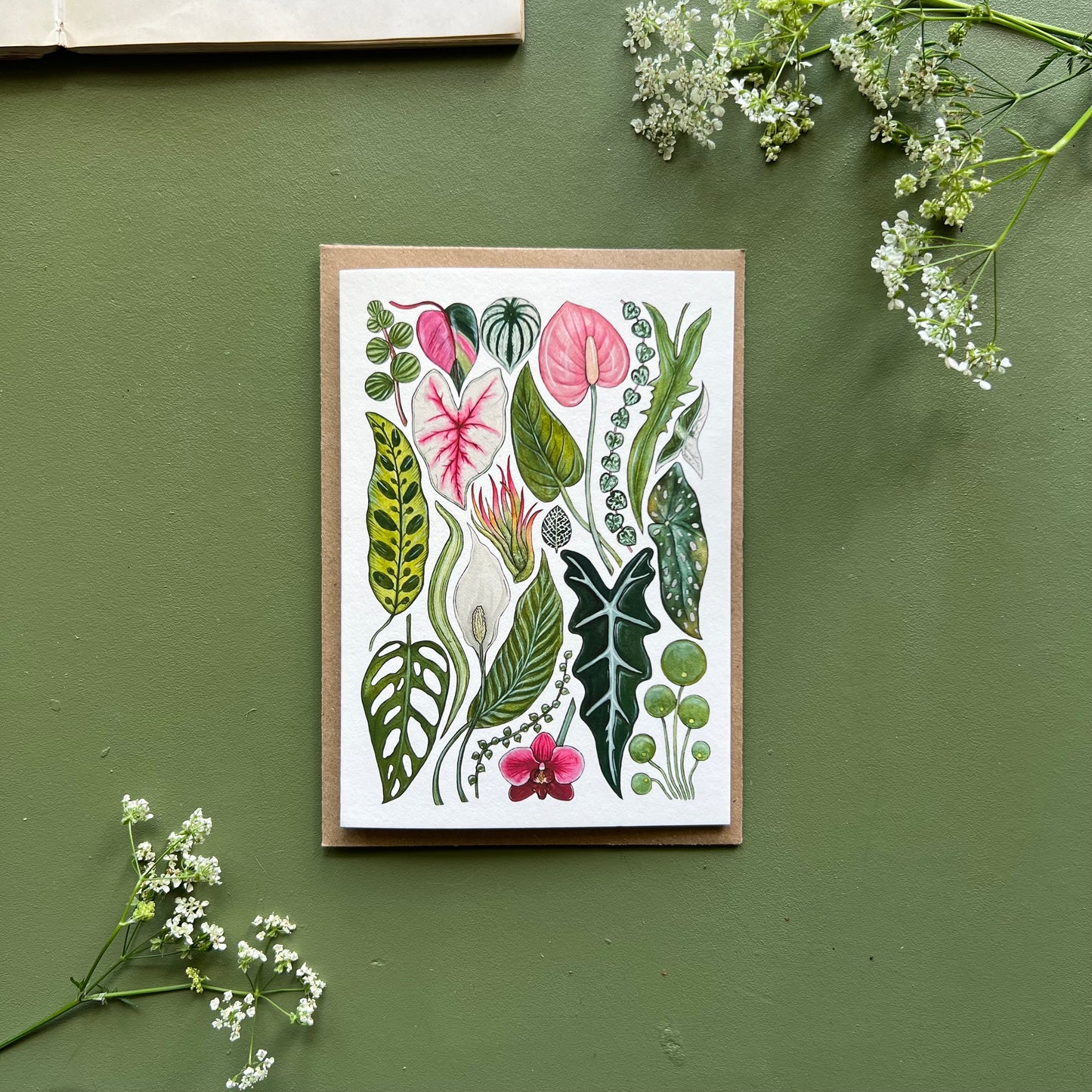 House Plants Card