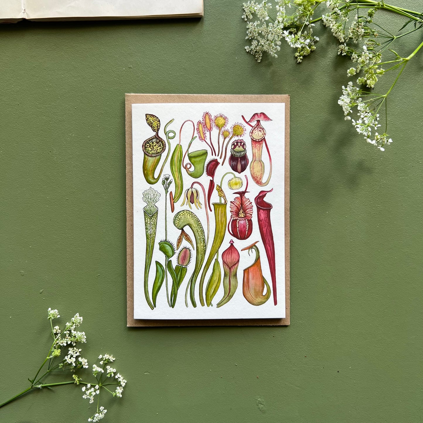 Carnivorous Plants Card