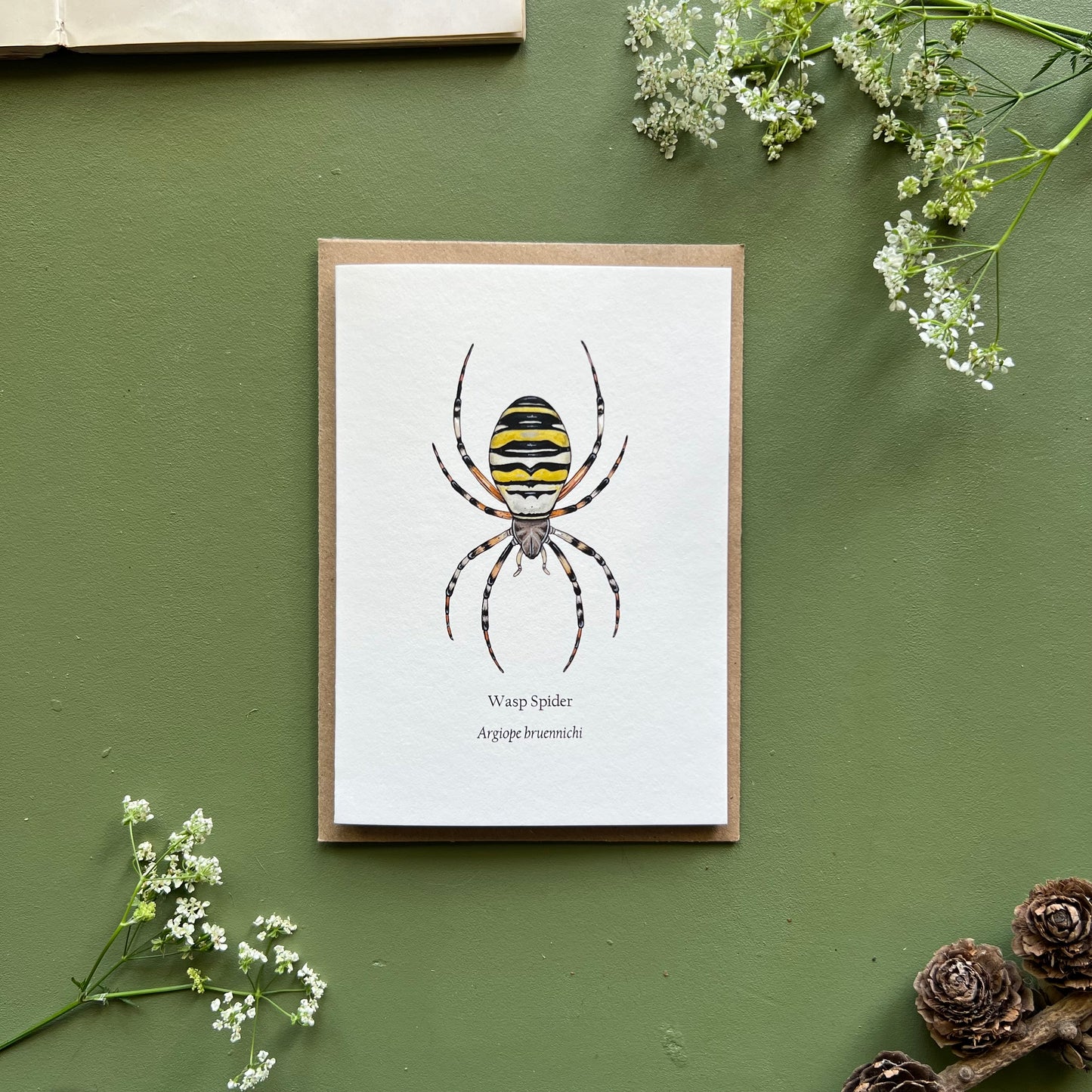 Wasp Spider Card