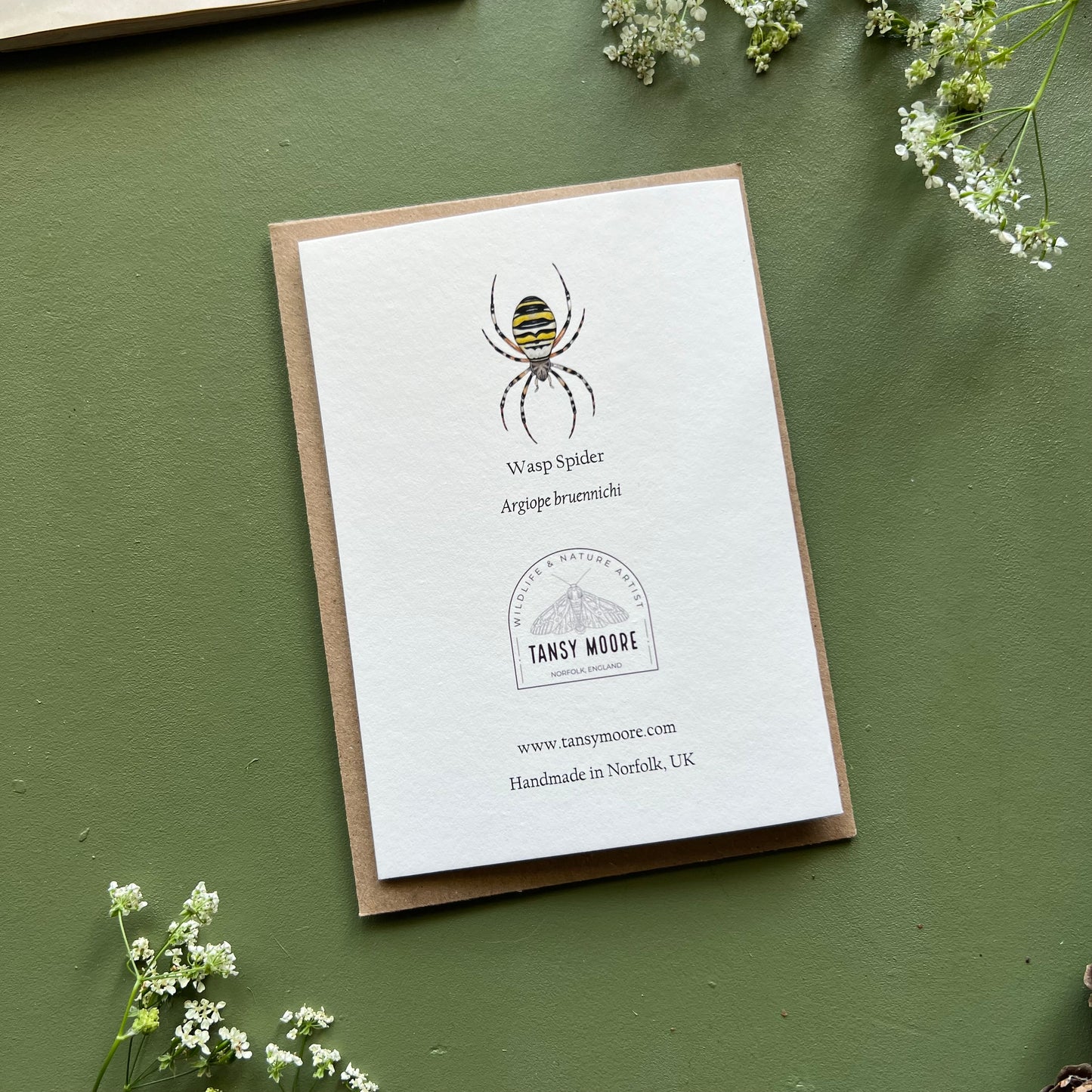 Wasp Spider Card