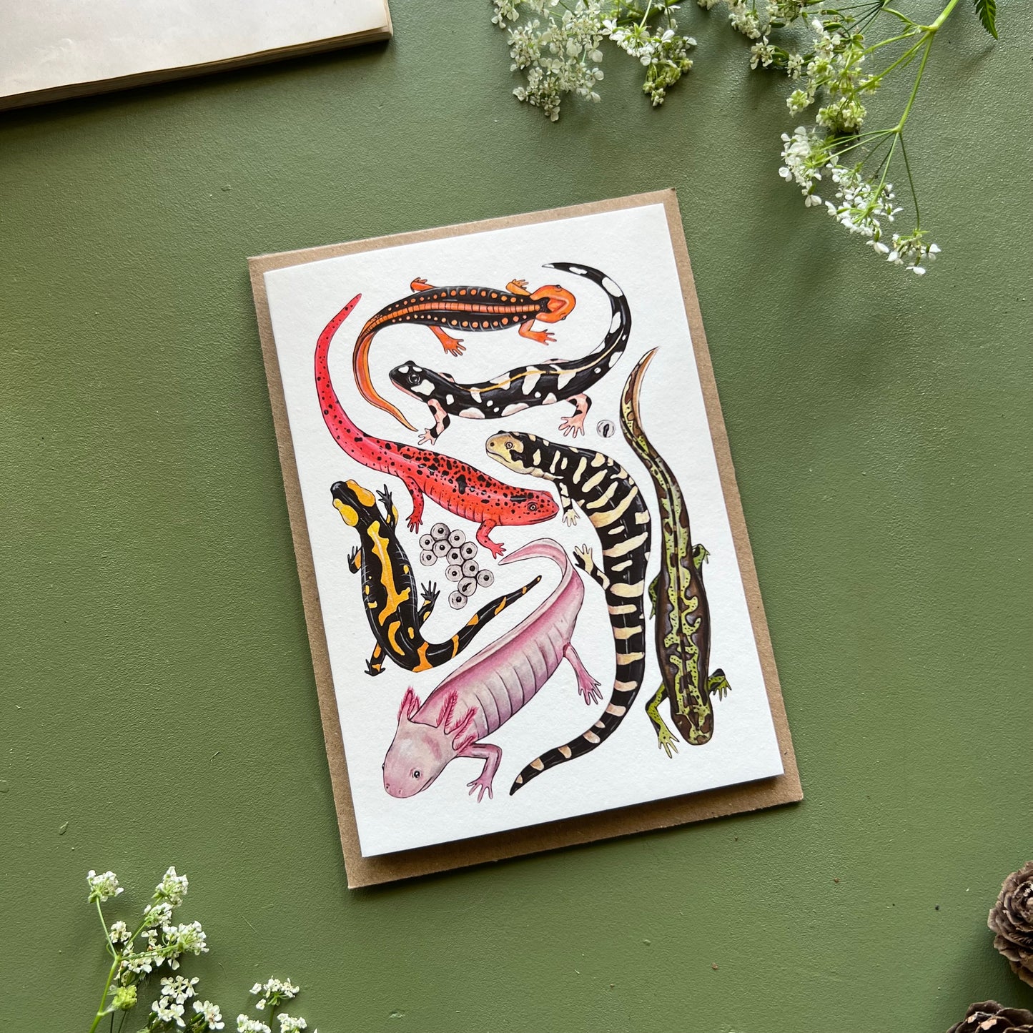 Salamanders Card