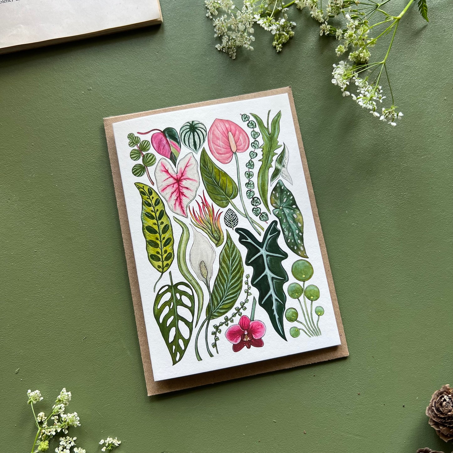 House Plants Card