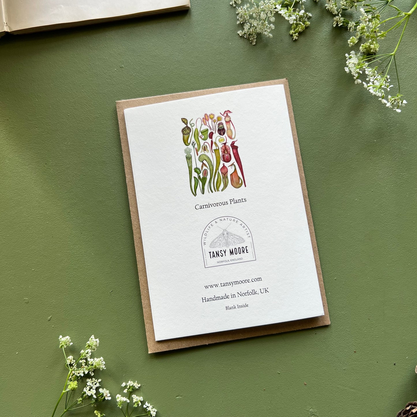 Carnivorous Plants Card