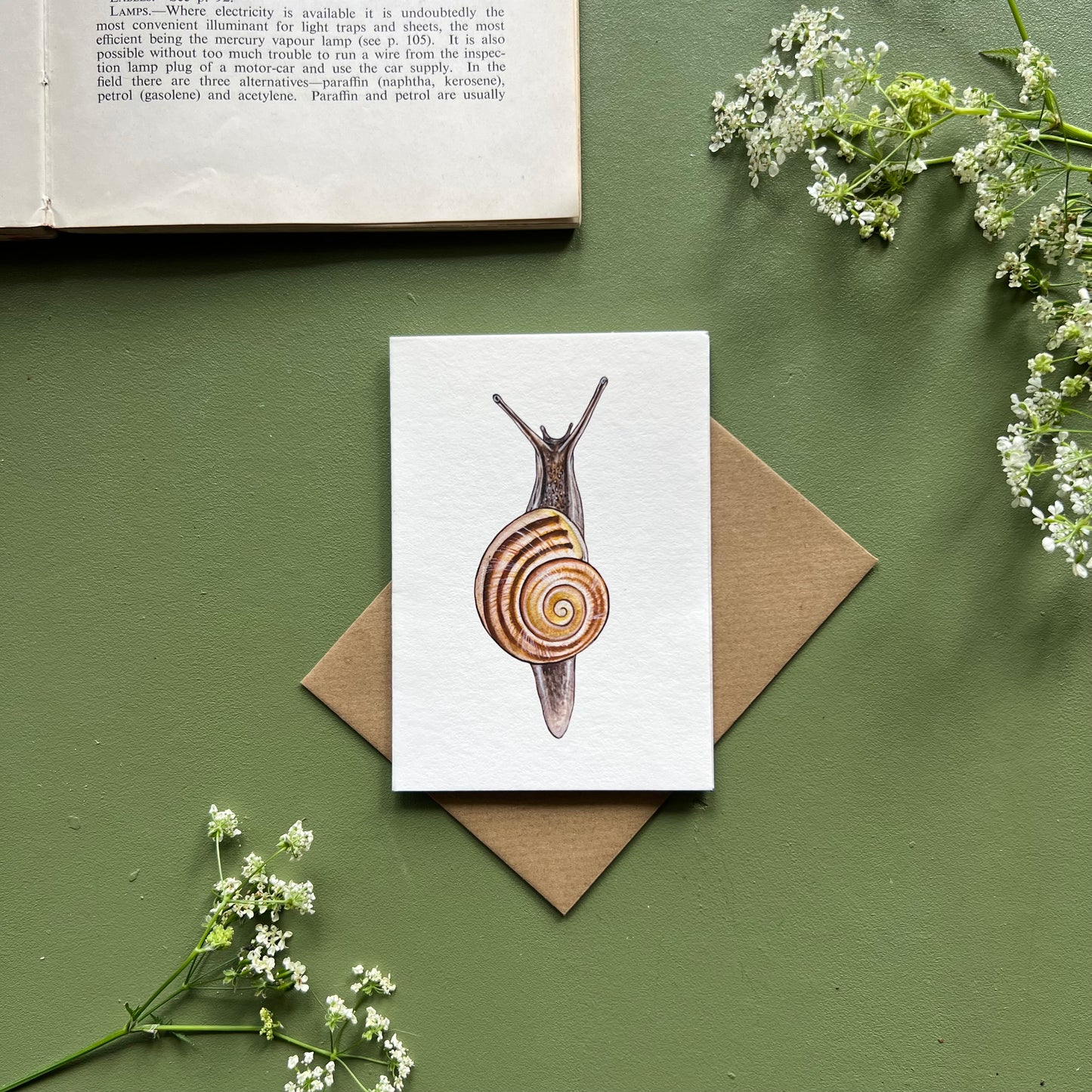 White-lipped Snail Mini Card