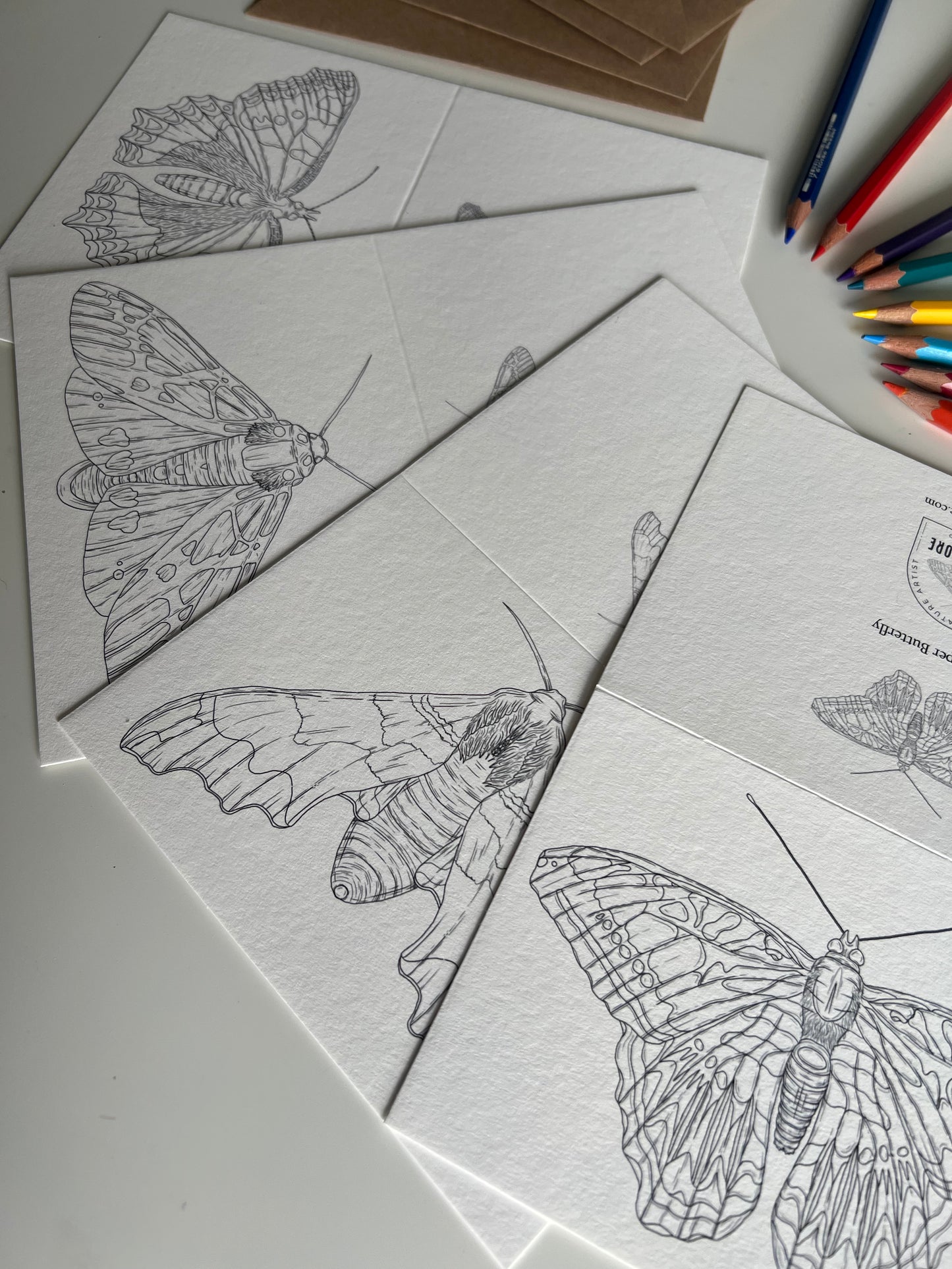 Butterfly and Moth Colouring in Card Set