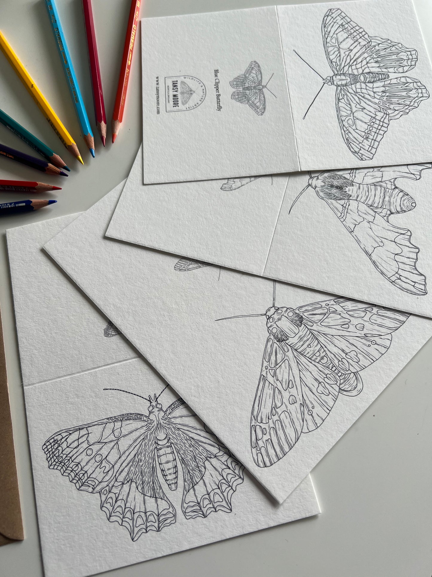 Butterfly and Moth Colouring in Card Set