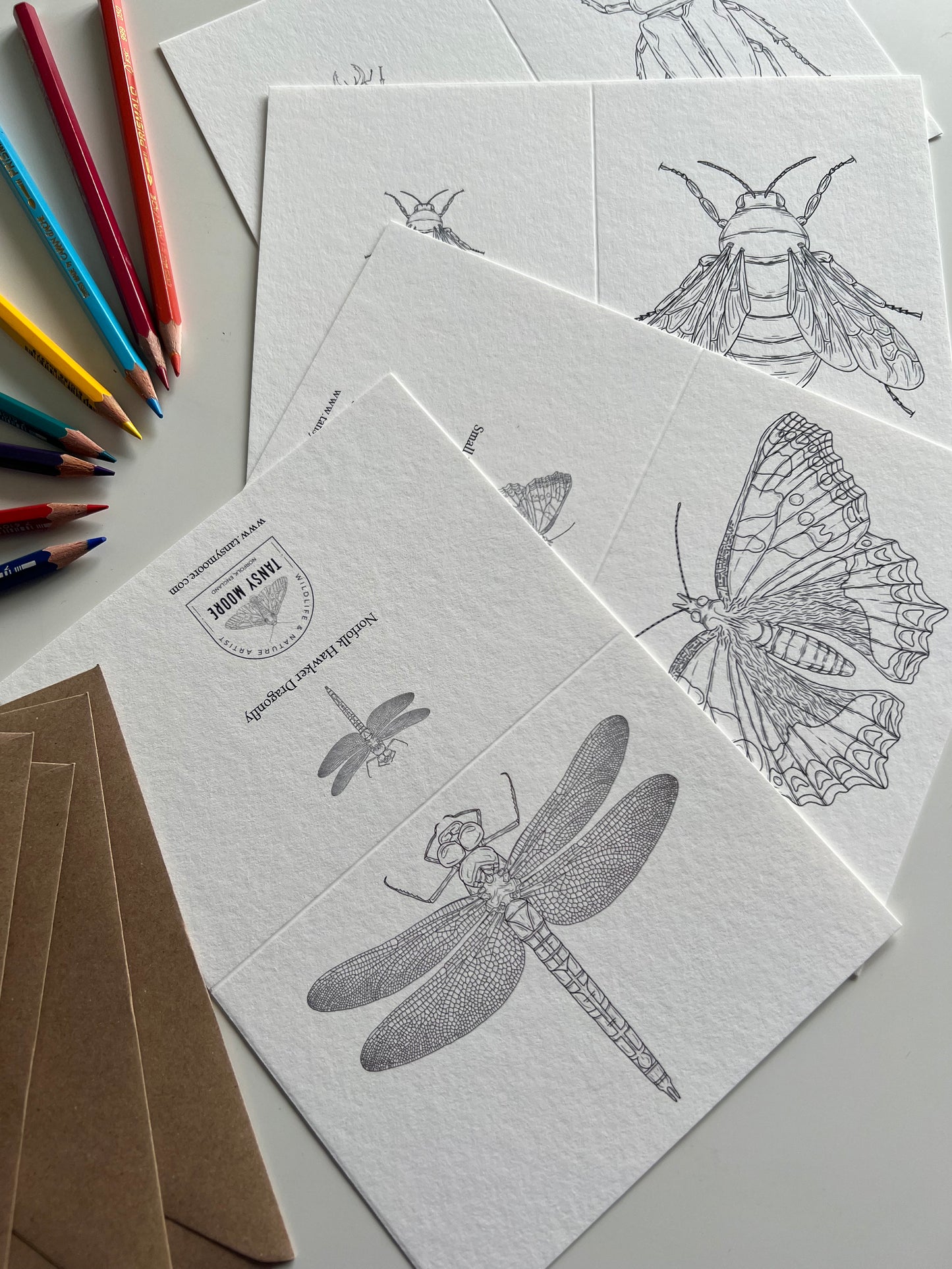 British Insects Colouring in Card Set