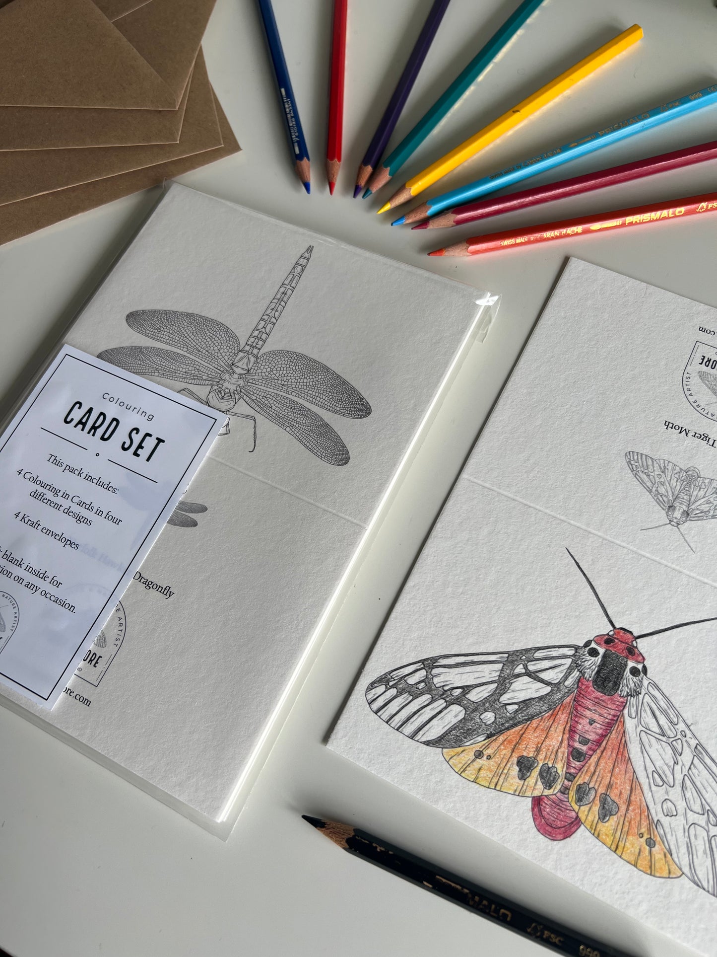 British Insects Colouring in Card Set