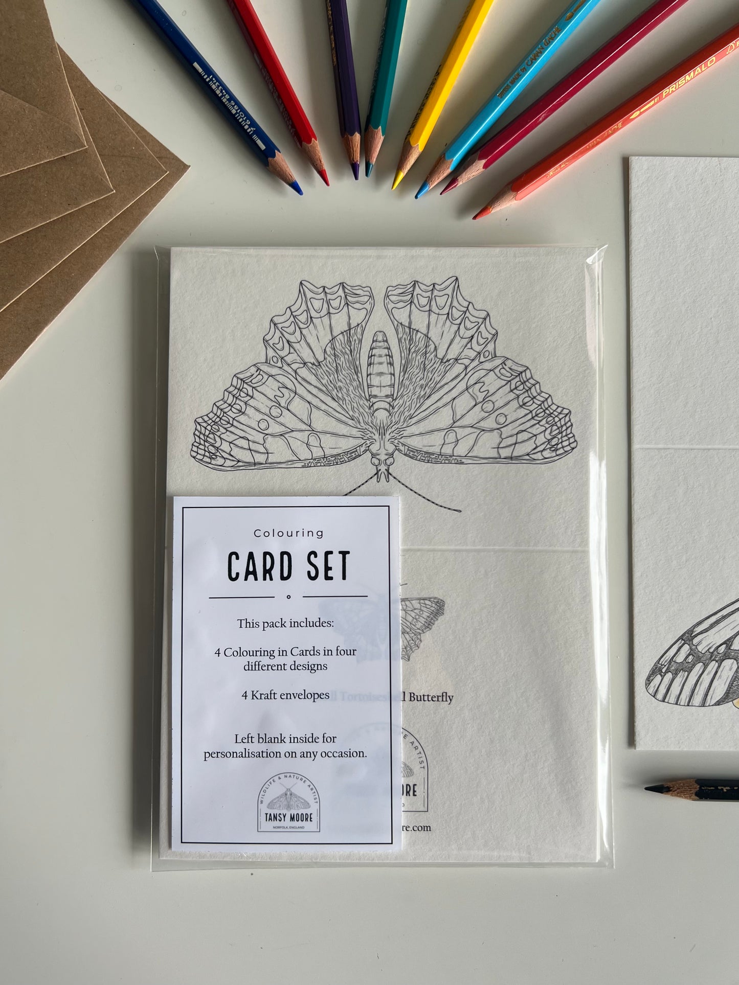 Butterfly and Moth Colouring in Card Set