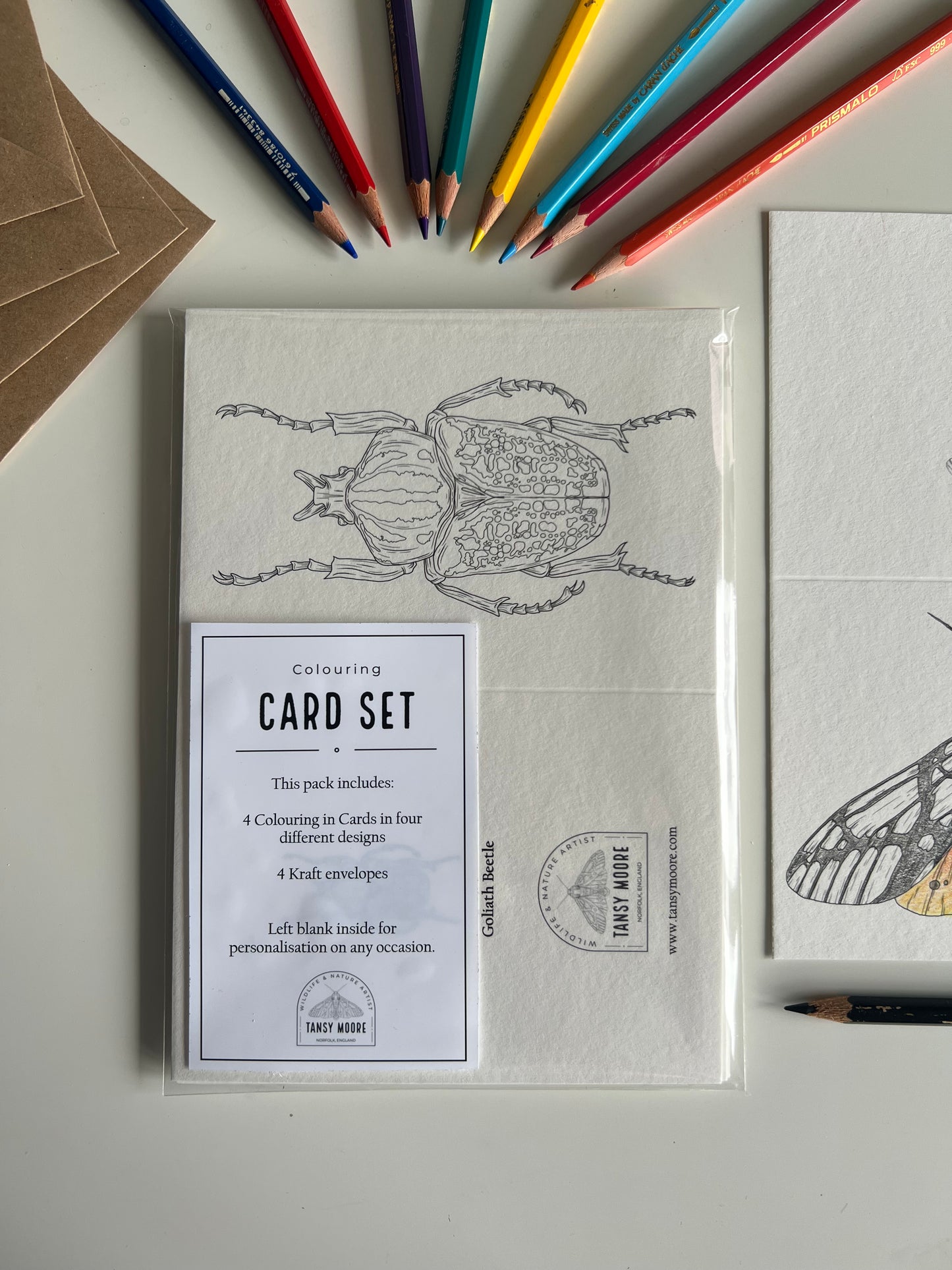 Beetle Colouring in Card Set