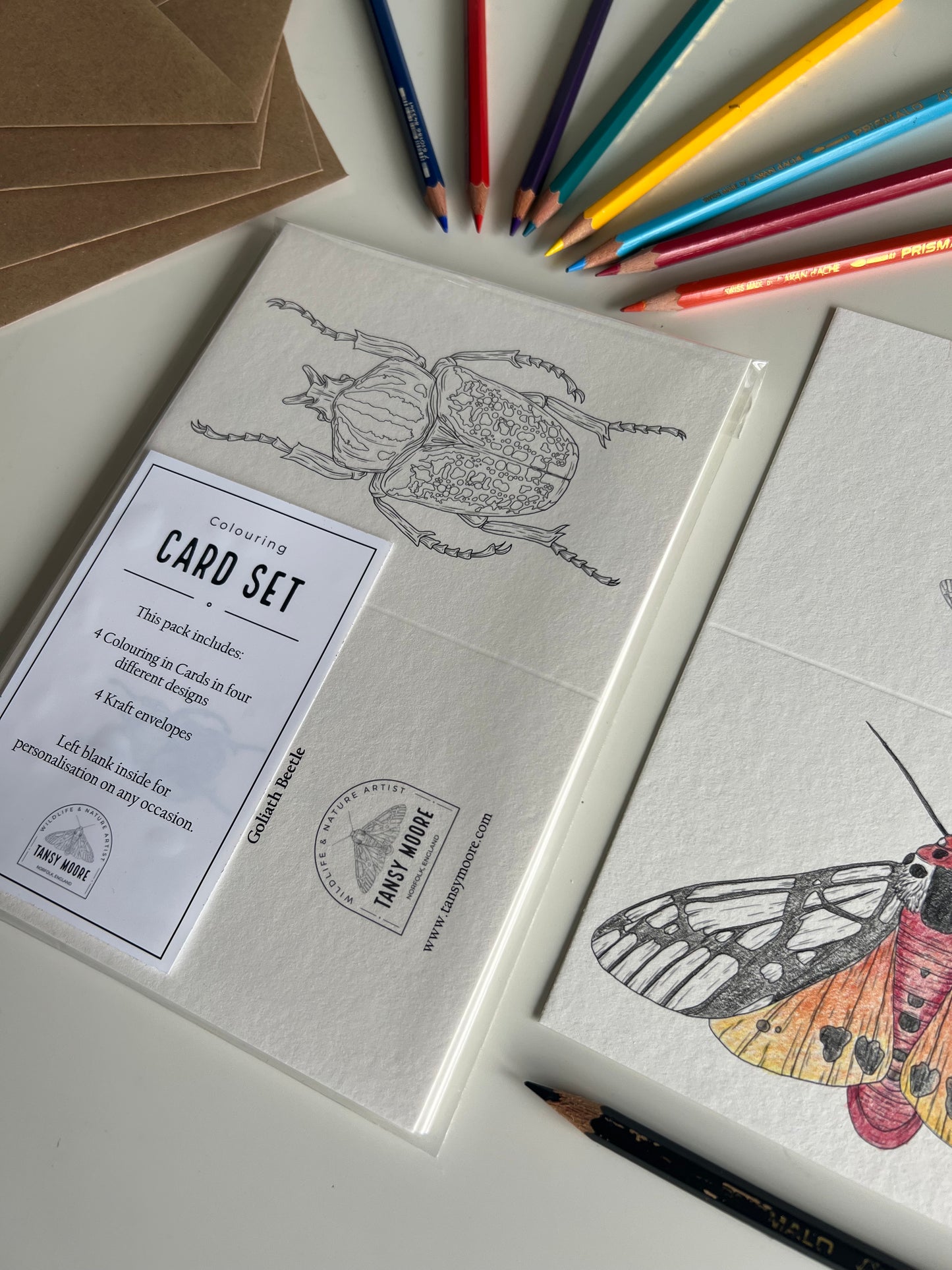 Beetle Colouring in Card Set