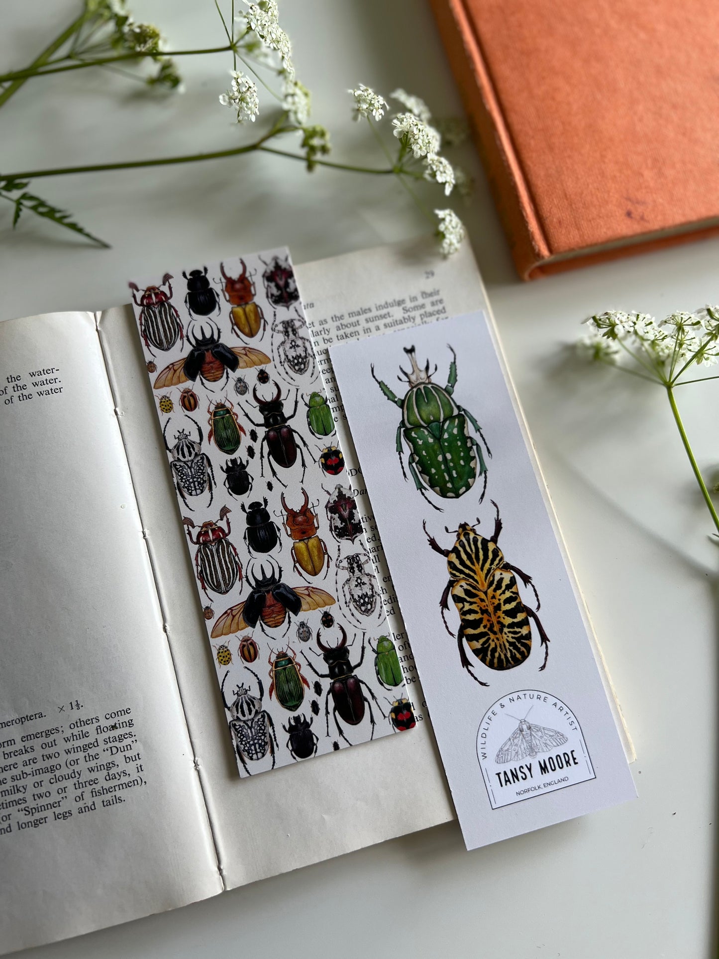 Beetle Bookmark