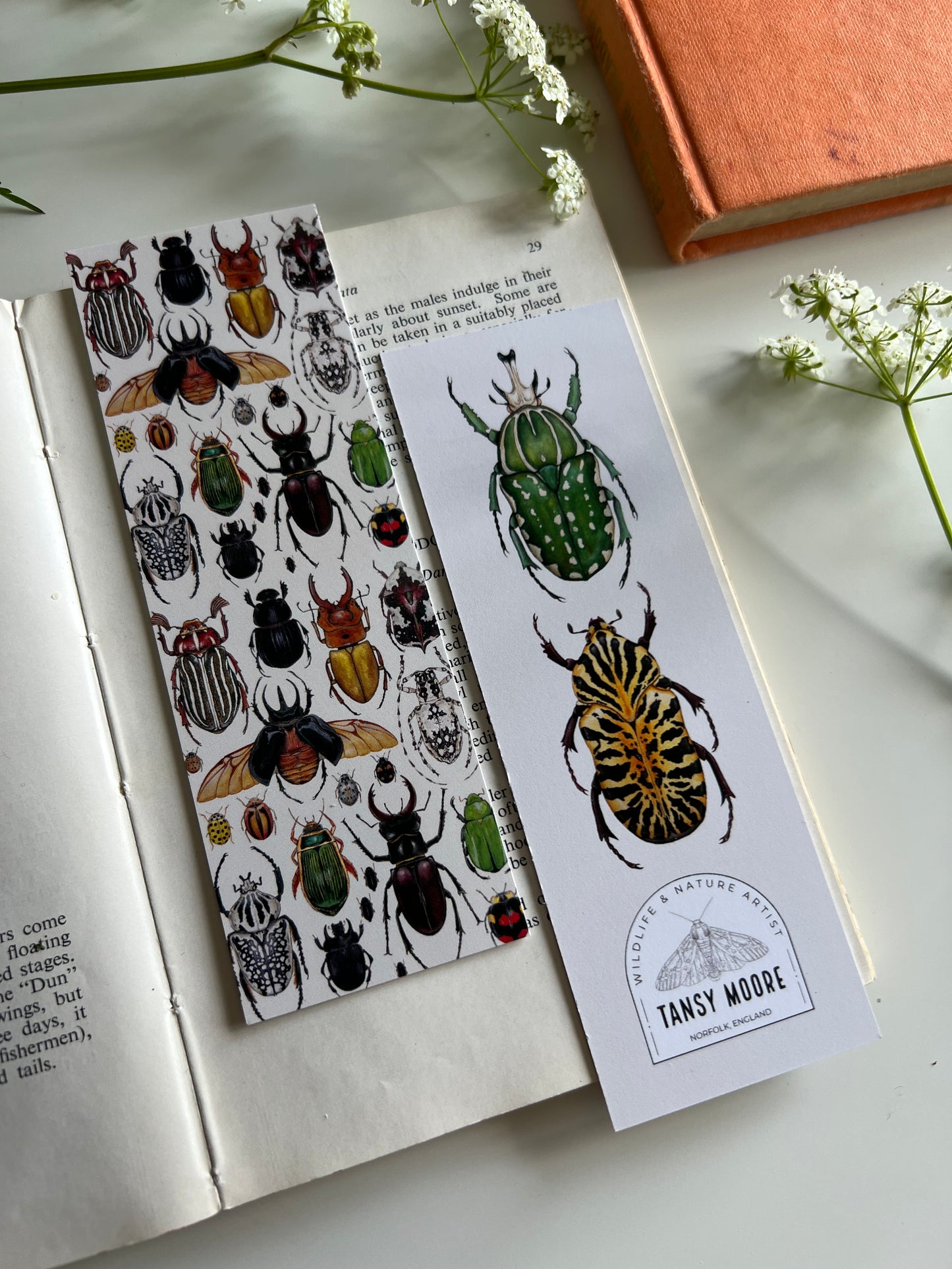 Beetle Bookmark