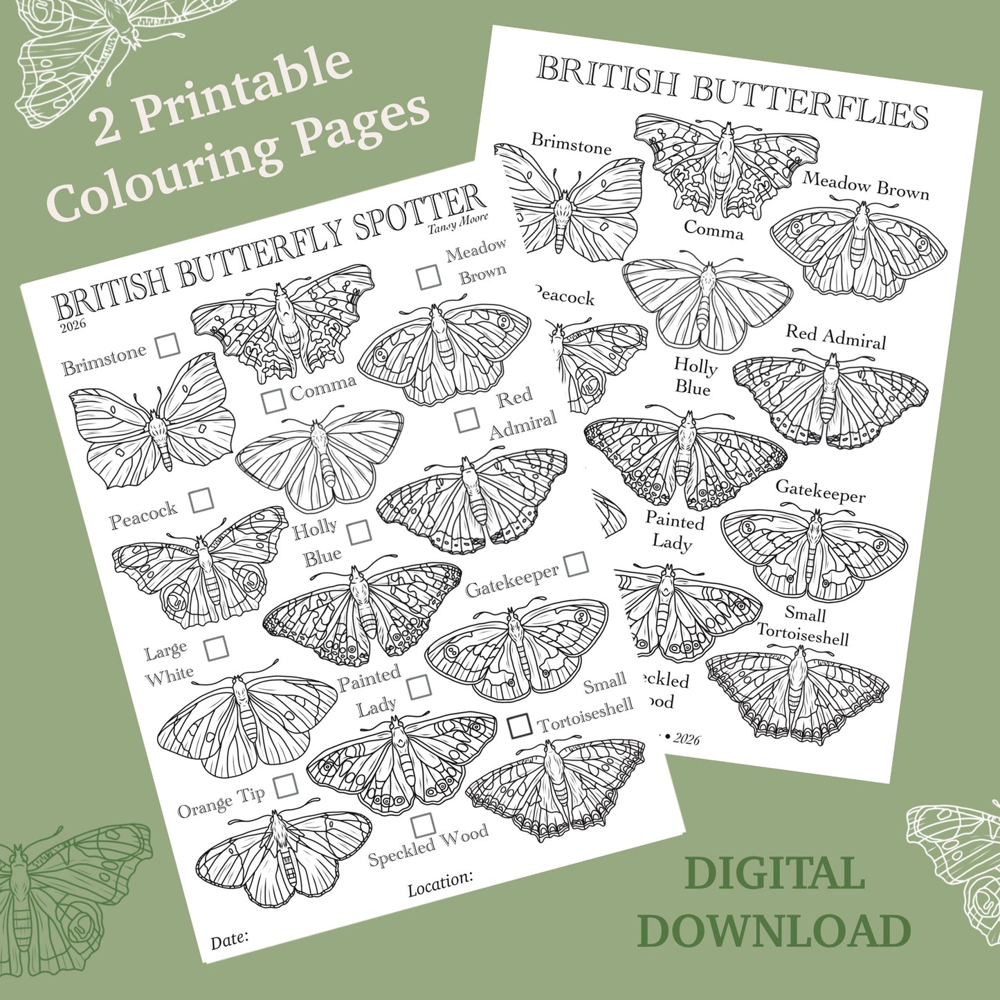 British Butterflies Spotter/ Identification Colouring Pages - Digital Download